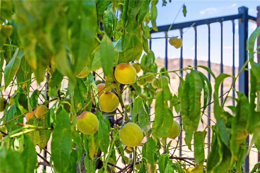 Beaumont, California, 92223, United States, 3 Bedrooms Bedrooms, ,3 BathroomsBathrooms,Residential,For Sale,1979571