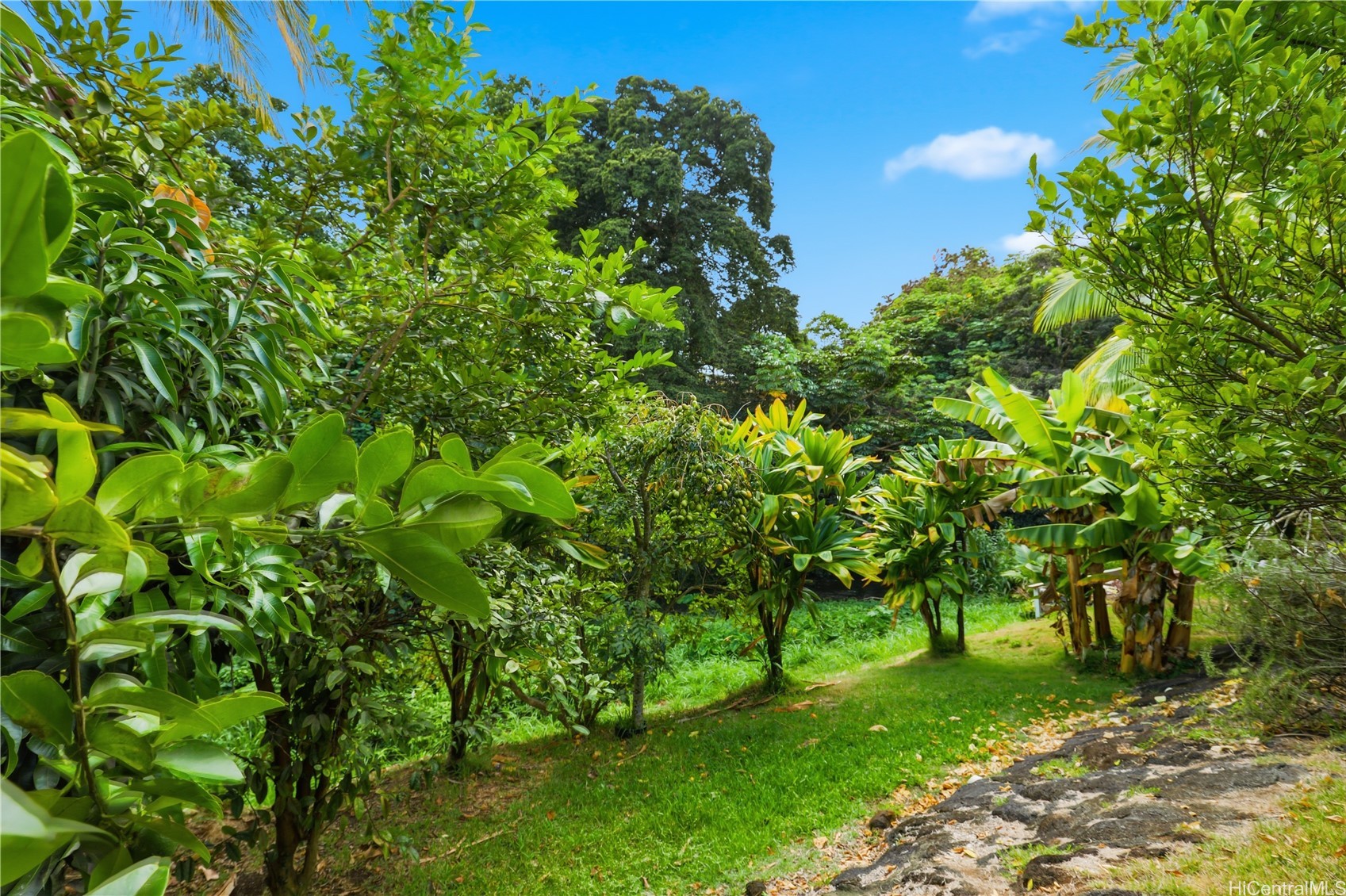 Kaneohe, Hawaii, 96744, United States, 3 Bedrooms Bedrooms, ,2 BathroomsBathrooms,Residential,For Sale,1988177