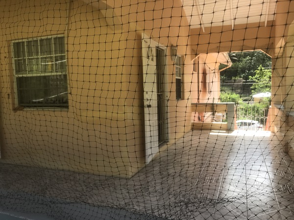 Nesita, St George, GD, 4 Bedrooms Bedrooms, ,4 BathroomsBathrooms,Residential,For Sale,Nesita,1460353