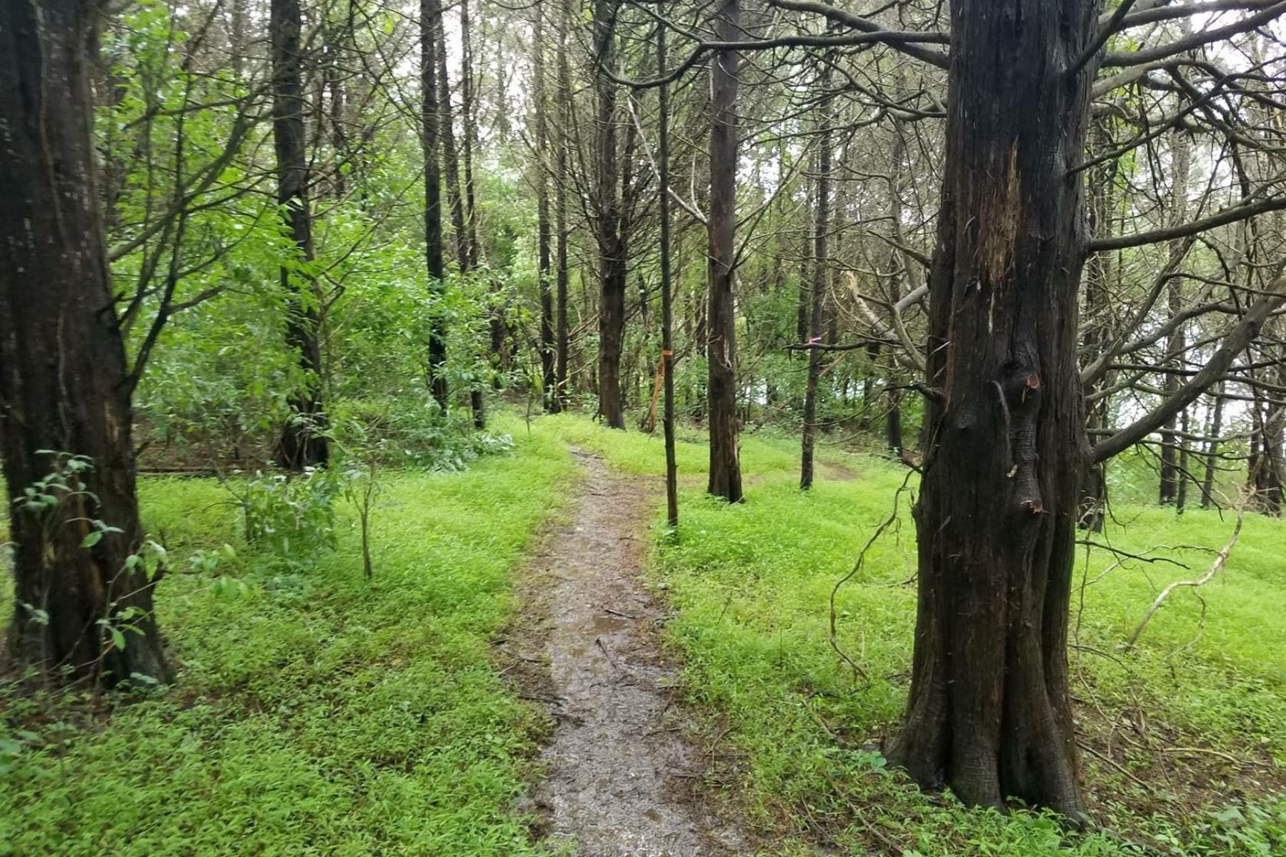  149 Emperor Drive, Lake Frederick, VA, 22630 - 物件實景