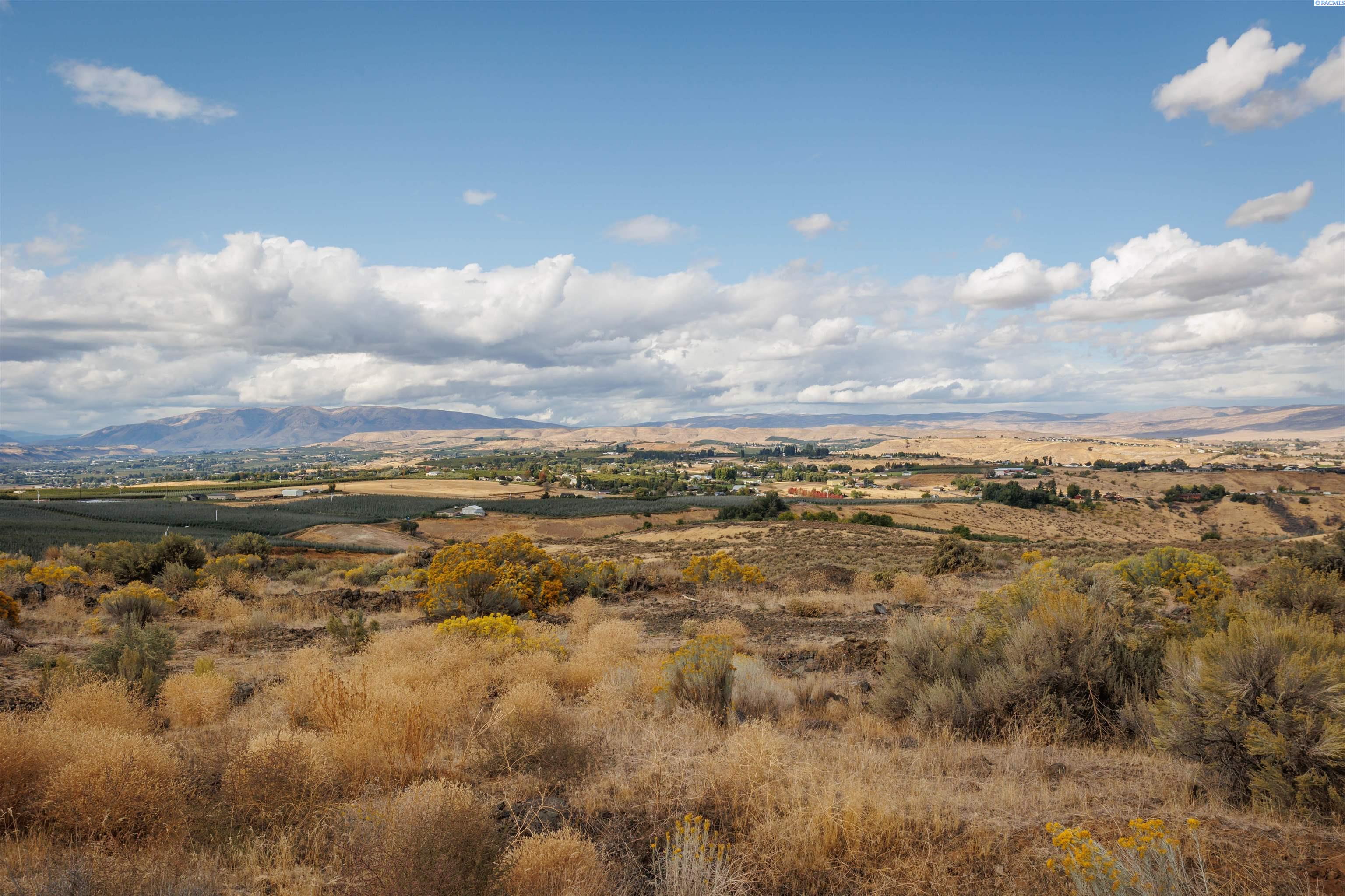 Selah, Washington, 98942, United States, ,Land,For Sale,1977738