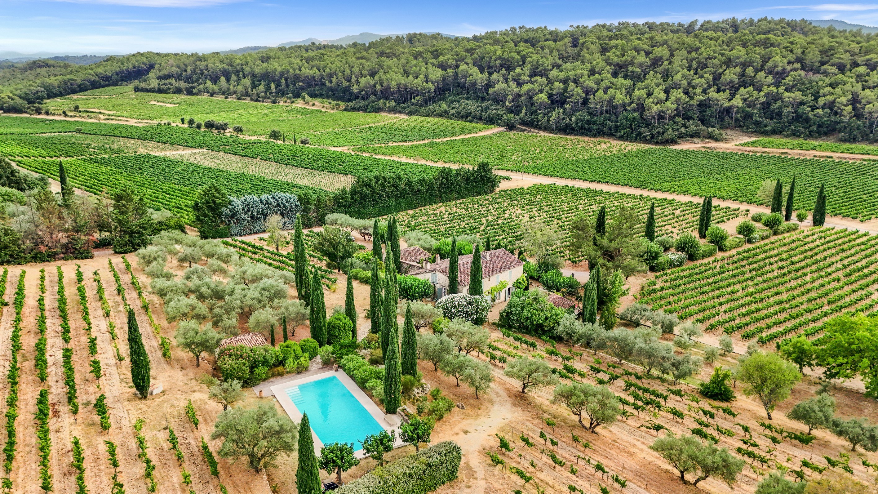  Exceptional Provençal Estate – Elegant Bastide with Pool Amidst Vineyards - 物件實景