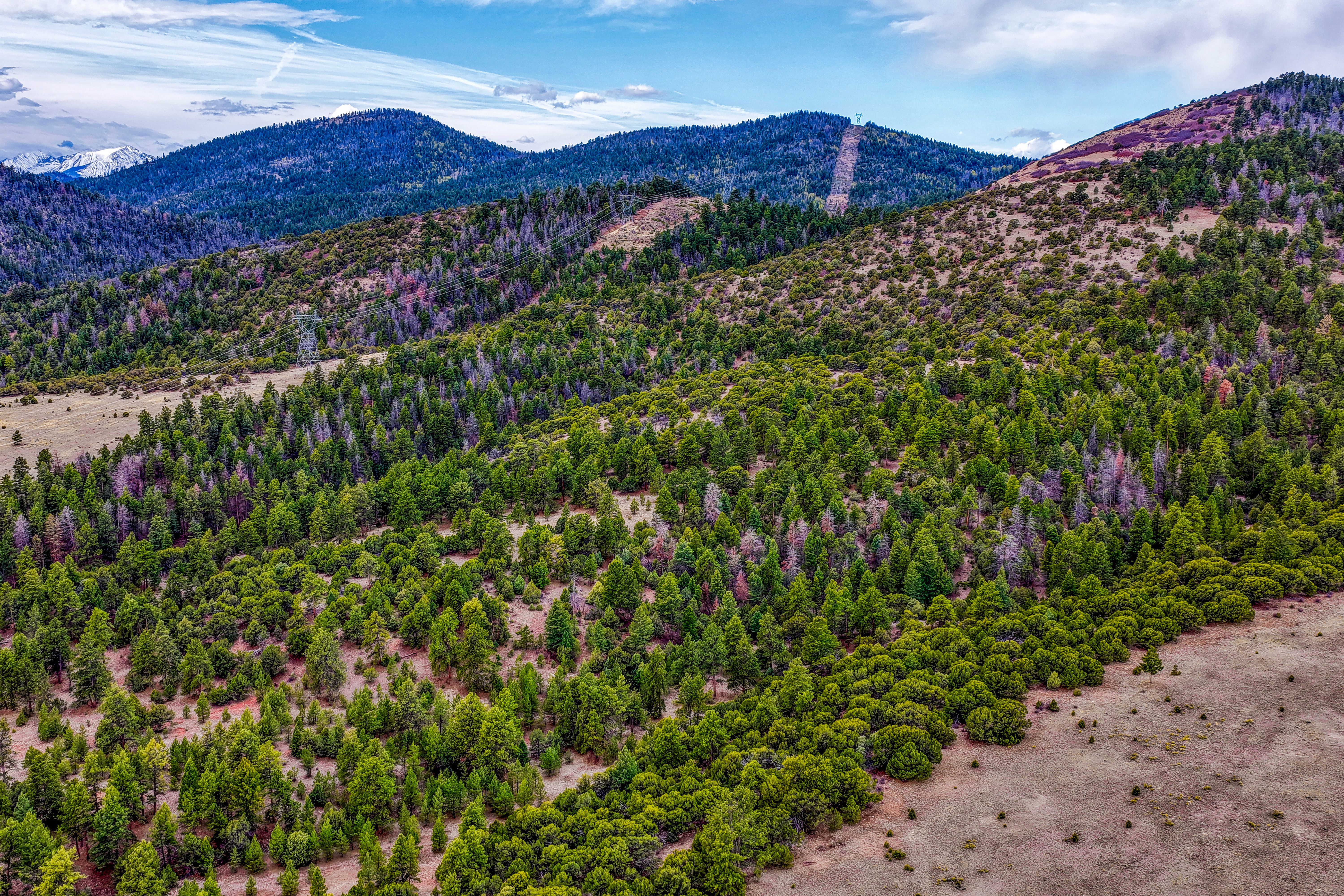  Spectacular 119 acre ranch tucked into a scenic mountain valley - 物件實景