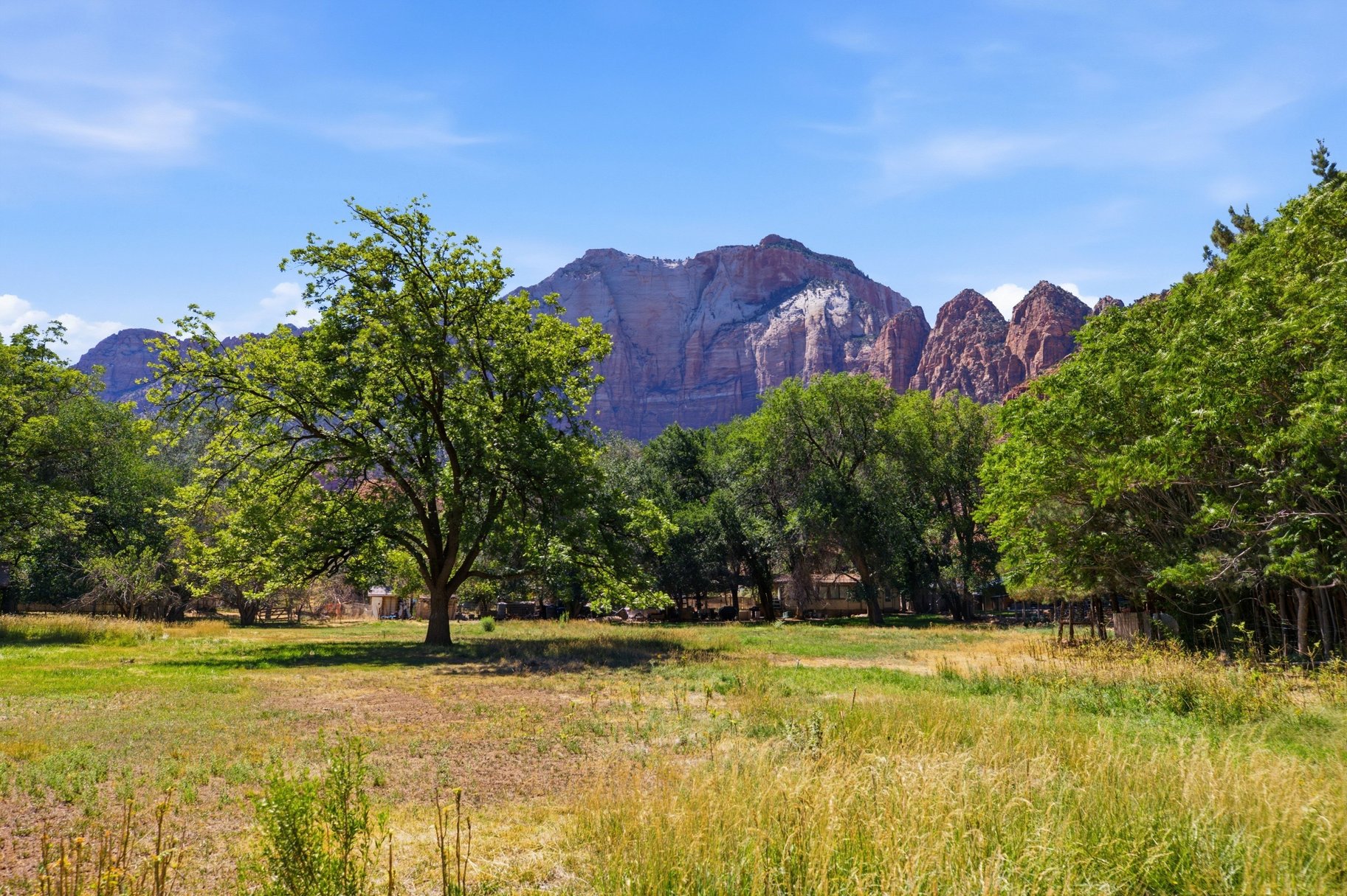  3+ Acres on the River Next to Zion National Park - 物件實景