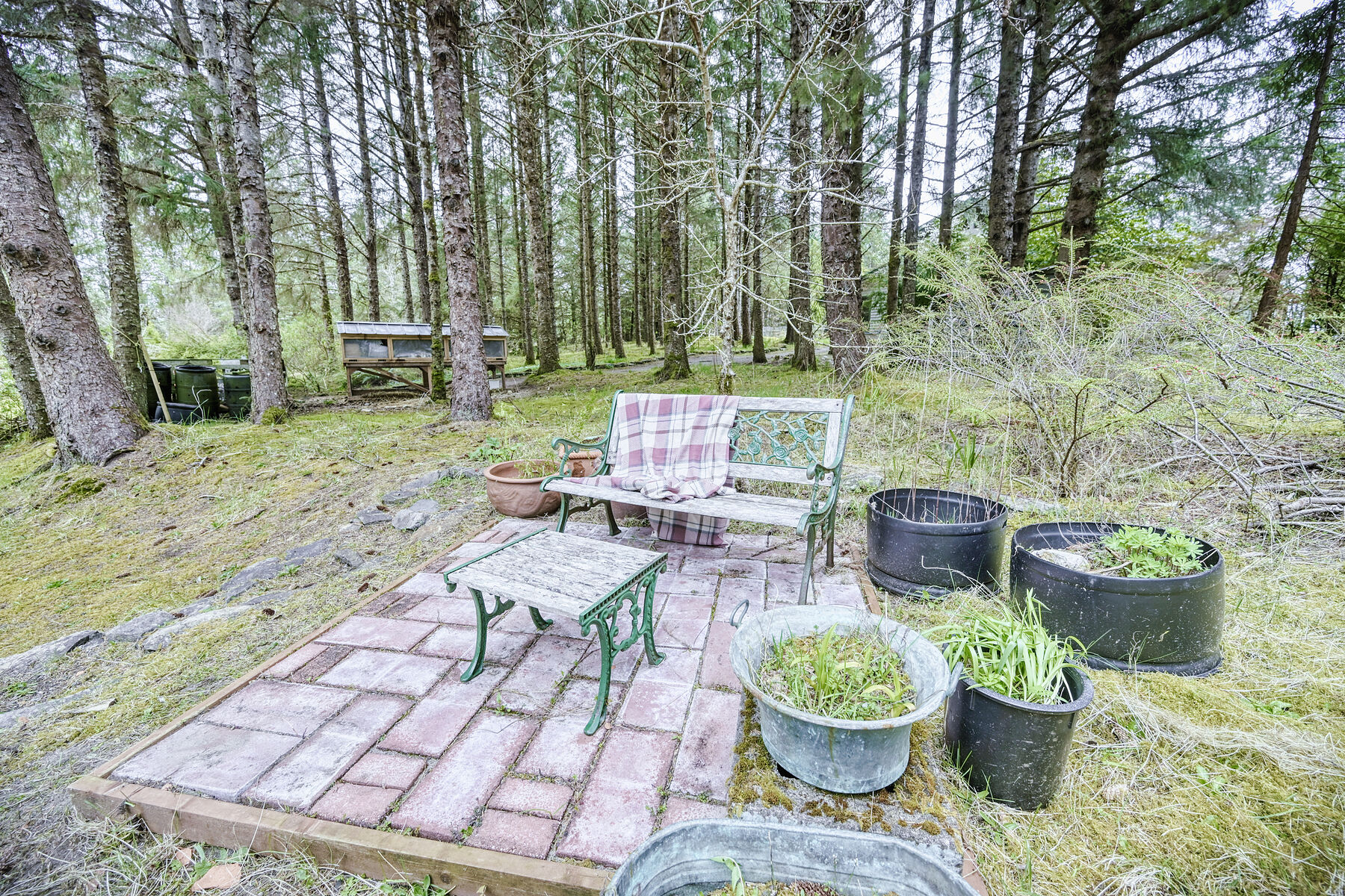  Legacy Oceanfront Haida Gwaii - 物件實景