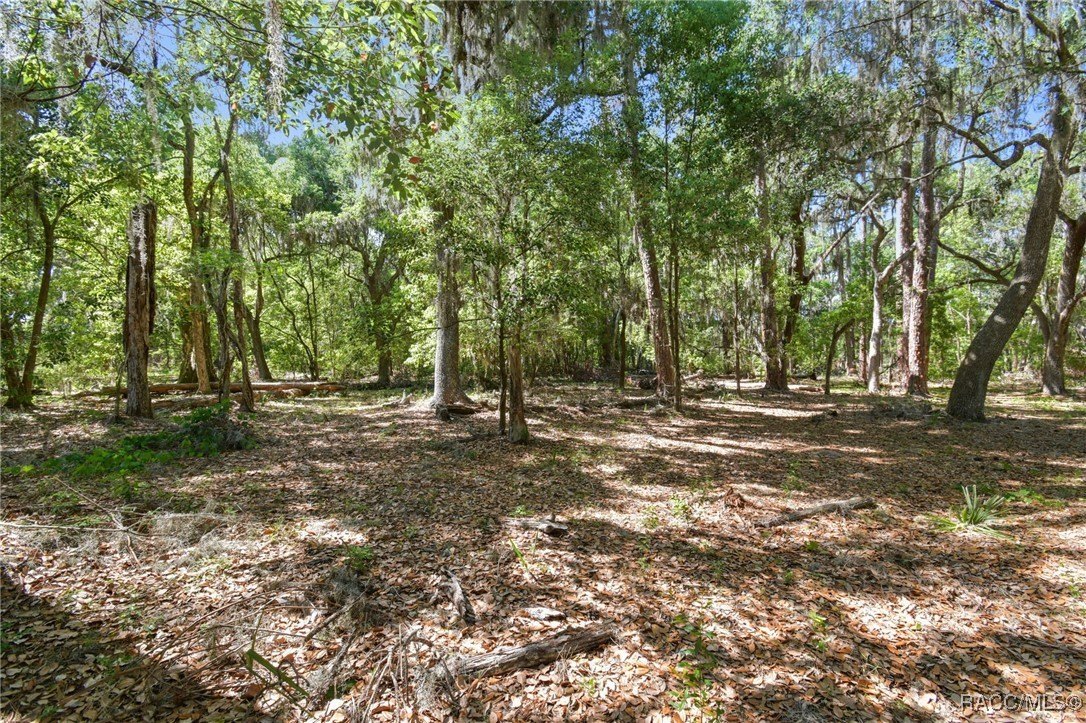 Brandon, Florida, 33511, United States, ,Land,For Sale,1981664