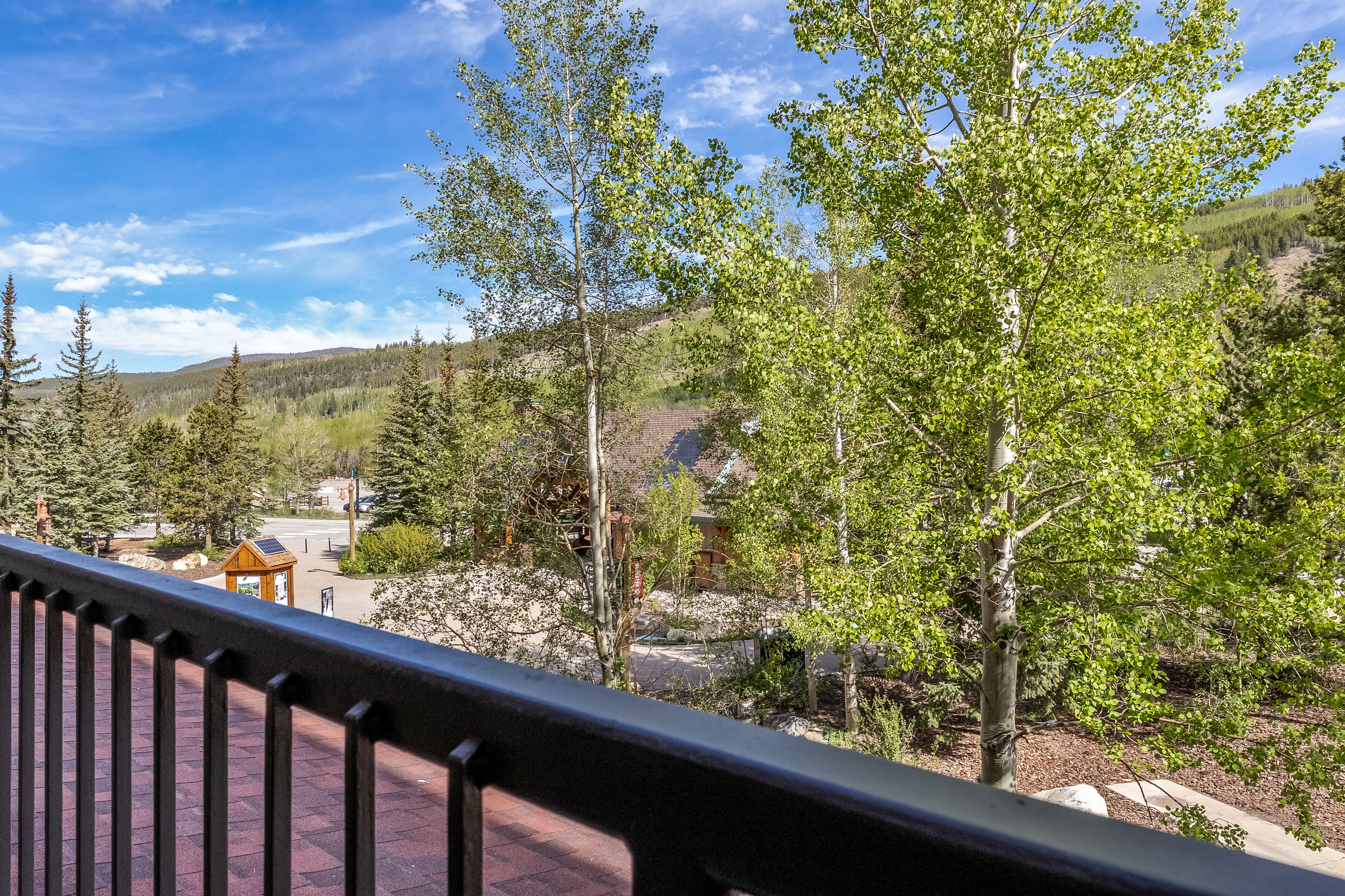  140 Ida Belle Drive, Keystone, CO, 80435 - 物件實景