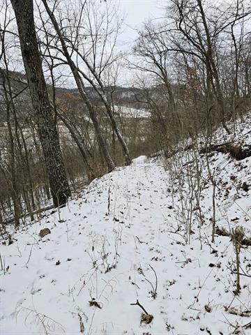 Gays Mills, Wisconsin, 54631, United States, 3 Bedrooms Bedrooms, ,3 BathroomsBathrooms,Residential,For Sale,2006070