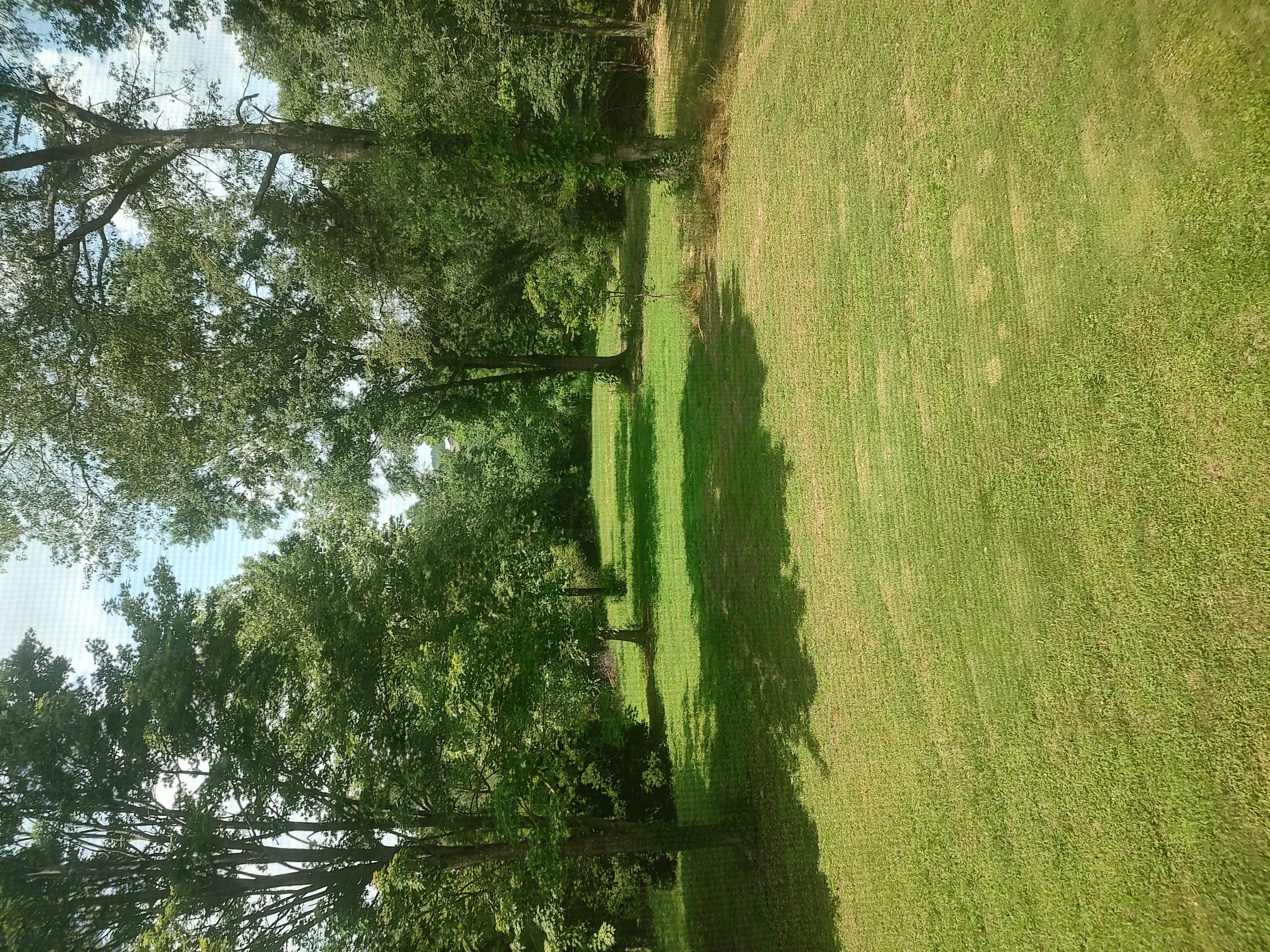  227 Horton Cutoff Road - 物件實景