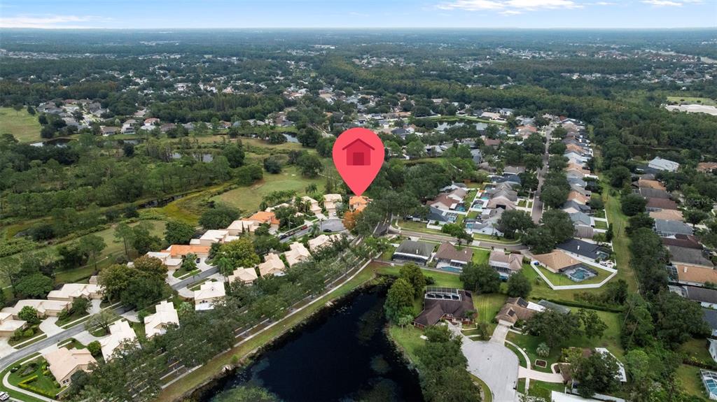 Tampa, Florida, 33647, United States, 4 Bedrooms Bedrooms, ,4 BathroomsBathrooms,Residential,For Sale,1983228