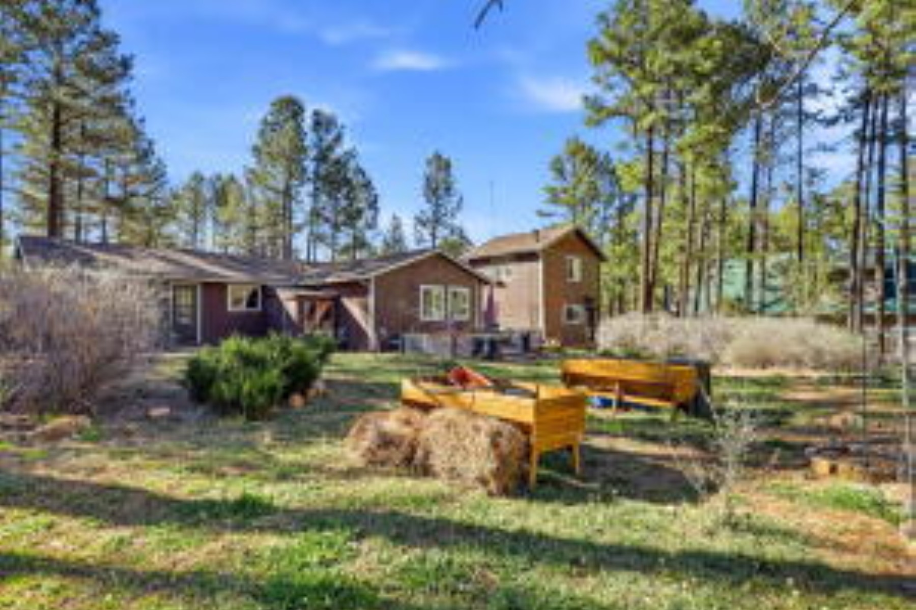  1009 Chaparral Drive¦Show Low, AZ - 物件實景