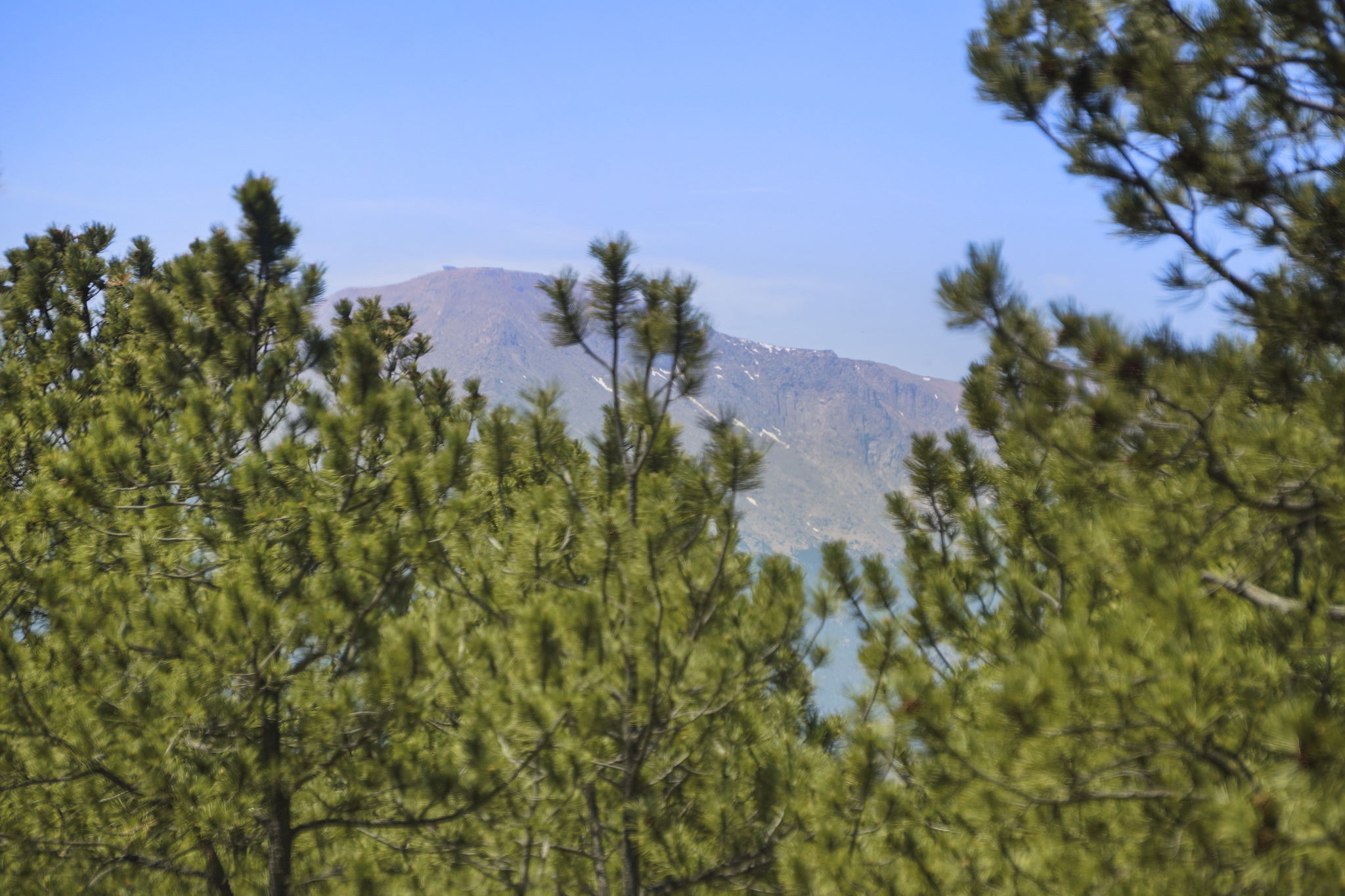  Extremely desirable southwest Black Forest location on stunning 5 wooded acres - 物件實景