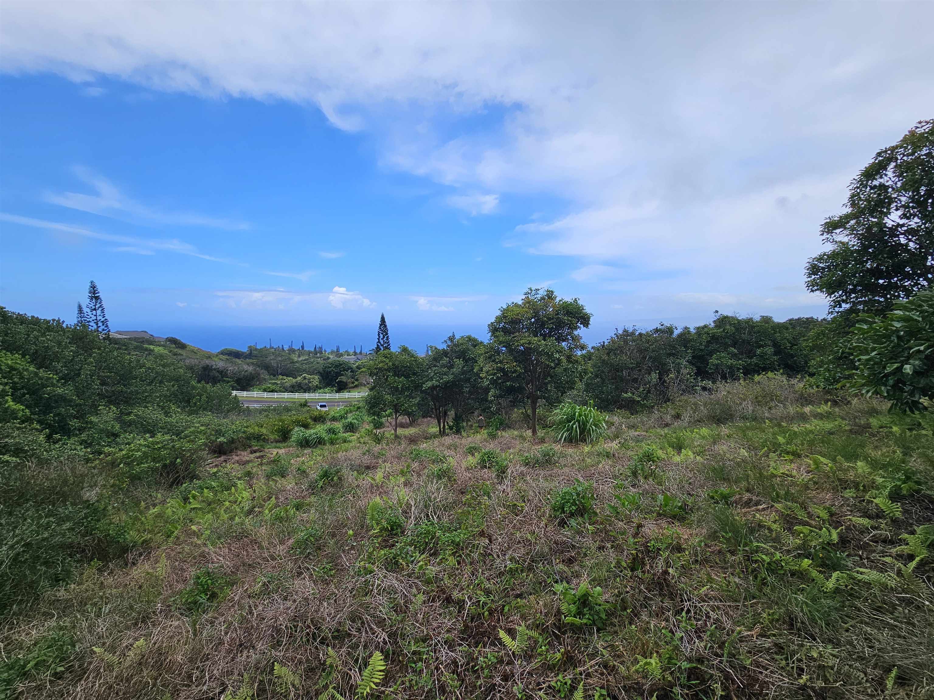 63 Lahaole Pl, Wailuku, Hawaii, 96793, United States, ,Land,For Sale,63 Lahaole Pl,1676772