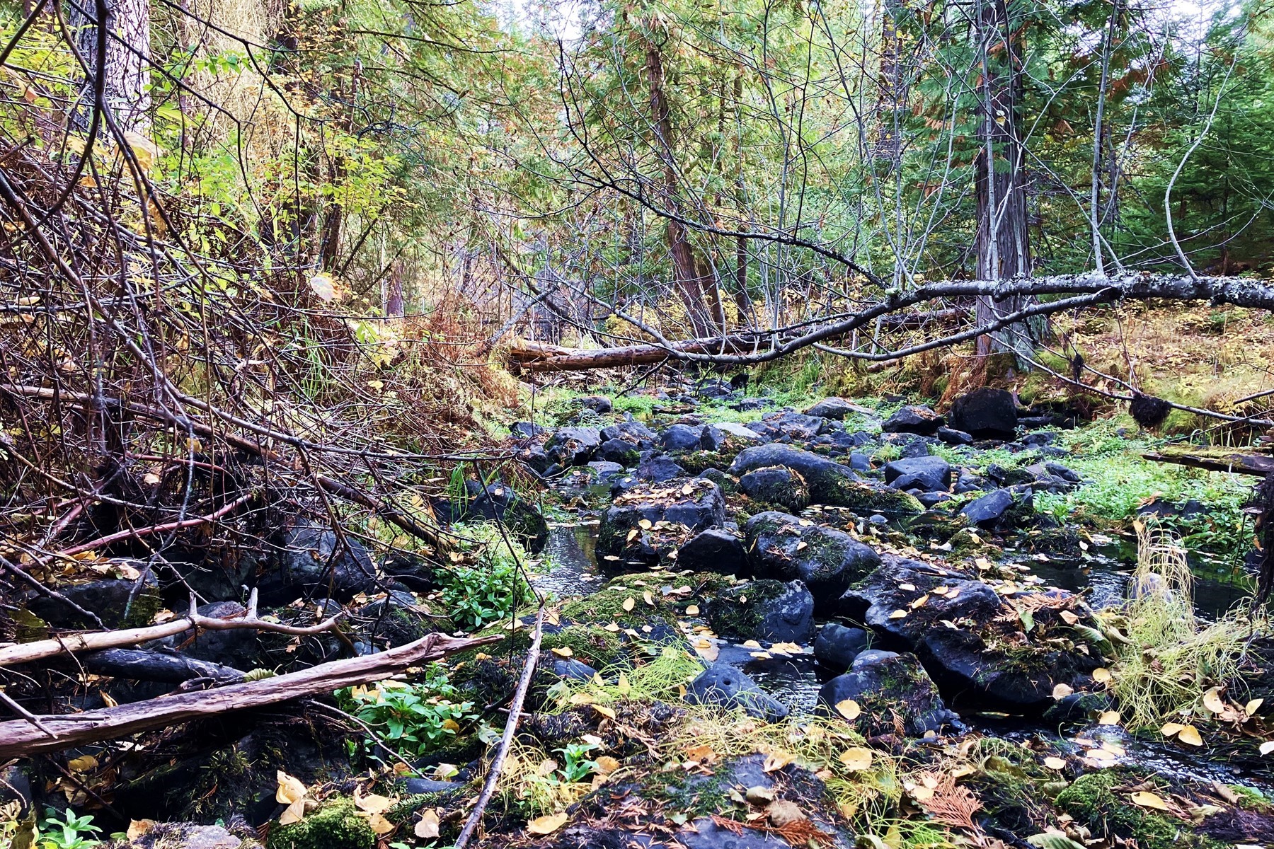  North Idaho Escape - 物件實景