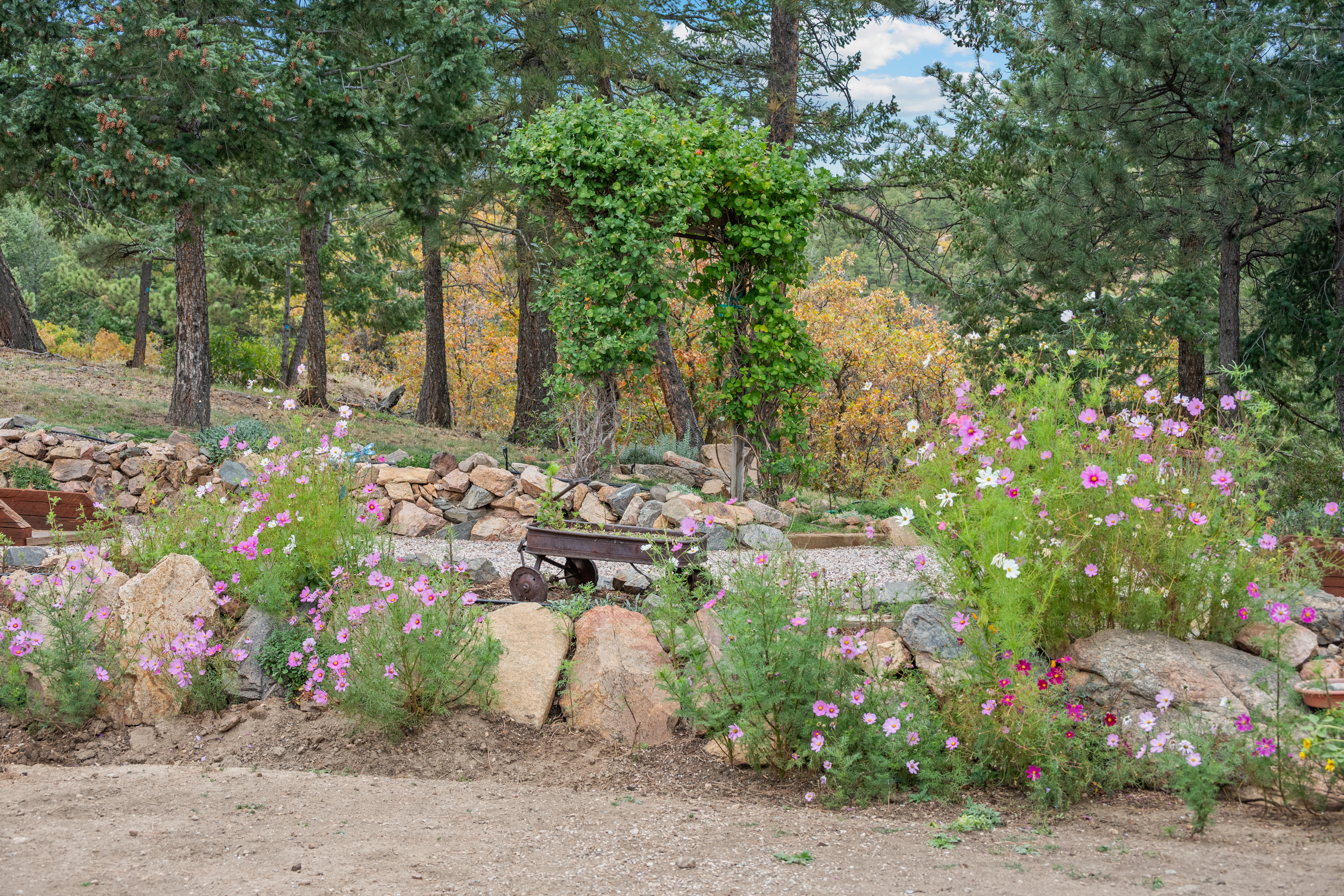  Chatfield Reservoir Log Home on Horse-Friendly 5 Acres with Wrap-Around Decks - 物件實景