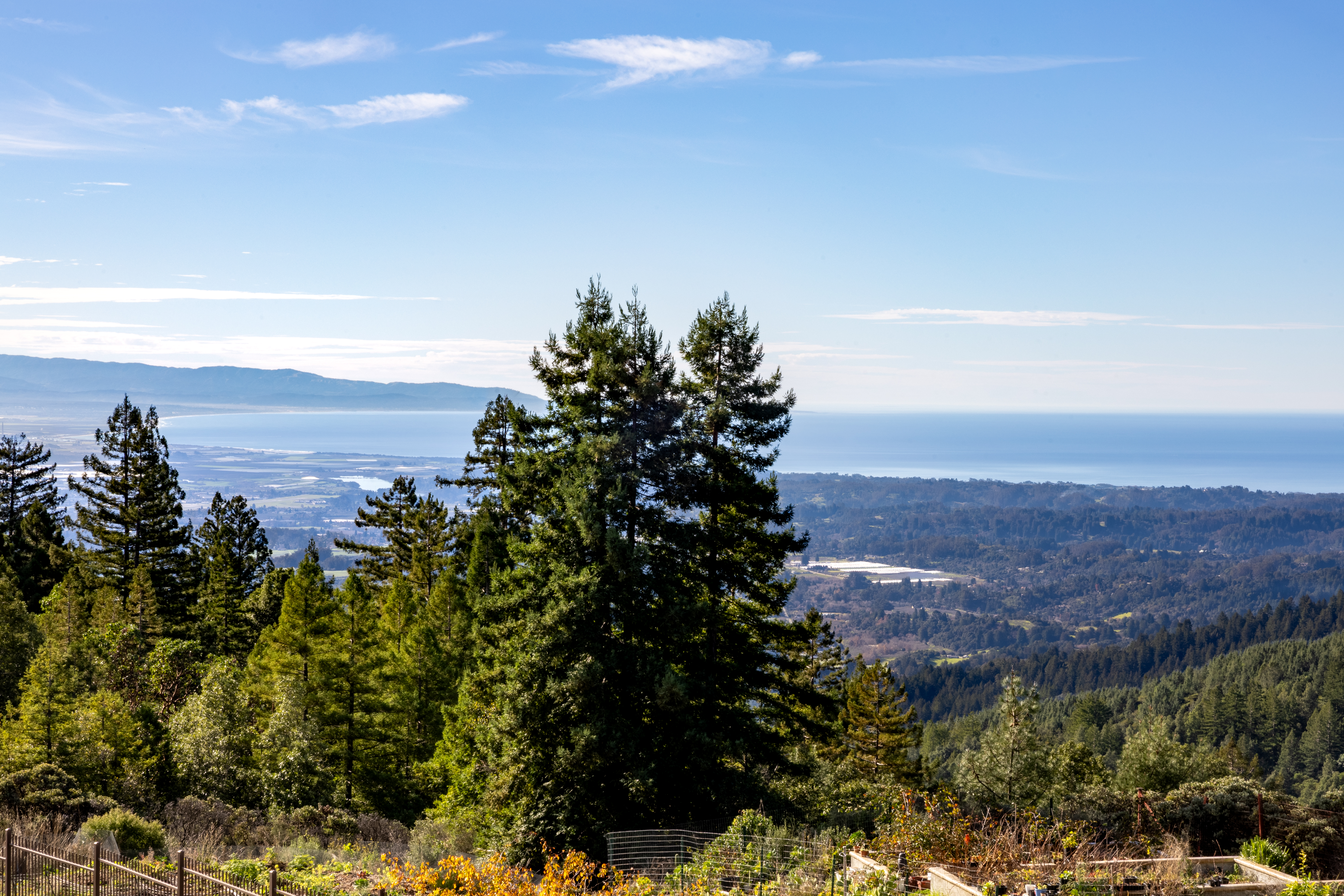  Santa Cruz Mountains Ocean View Resort - 物件實景
