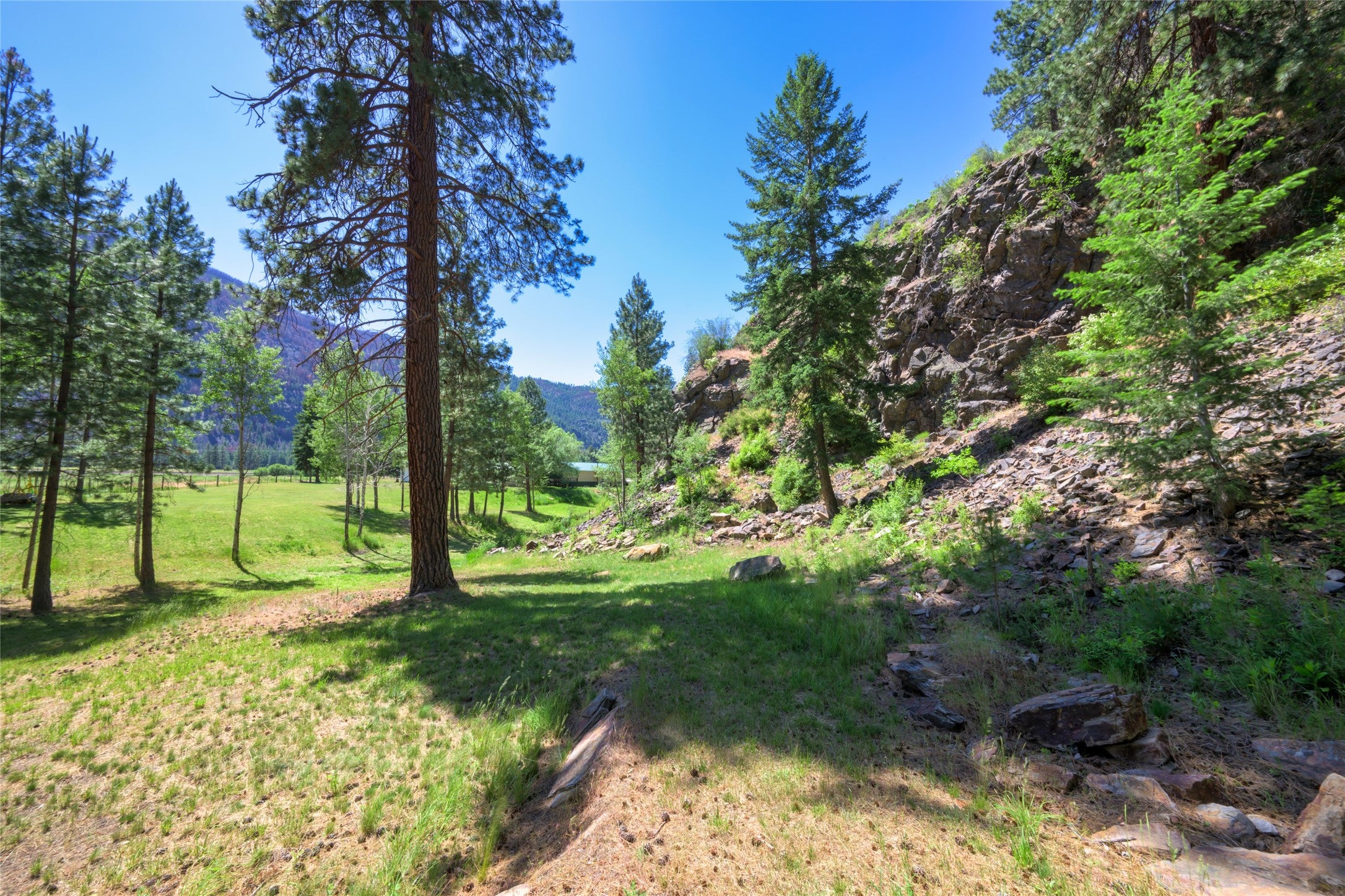 8045 Mt Hwy 200, Plains, Montana, 59859, United States, 3 Bedrooms Bedrooms, ,1 BathroomBathrooms,Residential,For Sale,8045 Mt Hwy 200,1586647