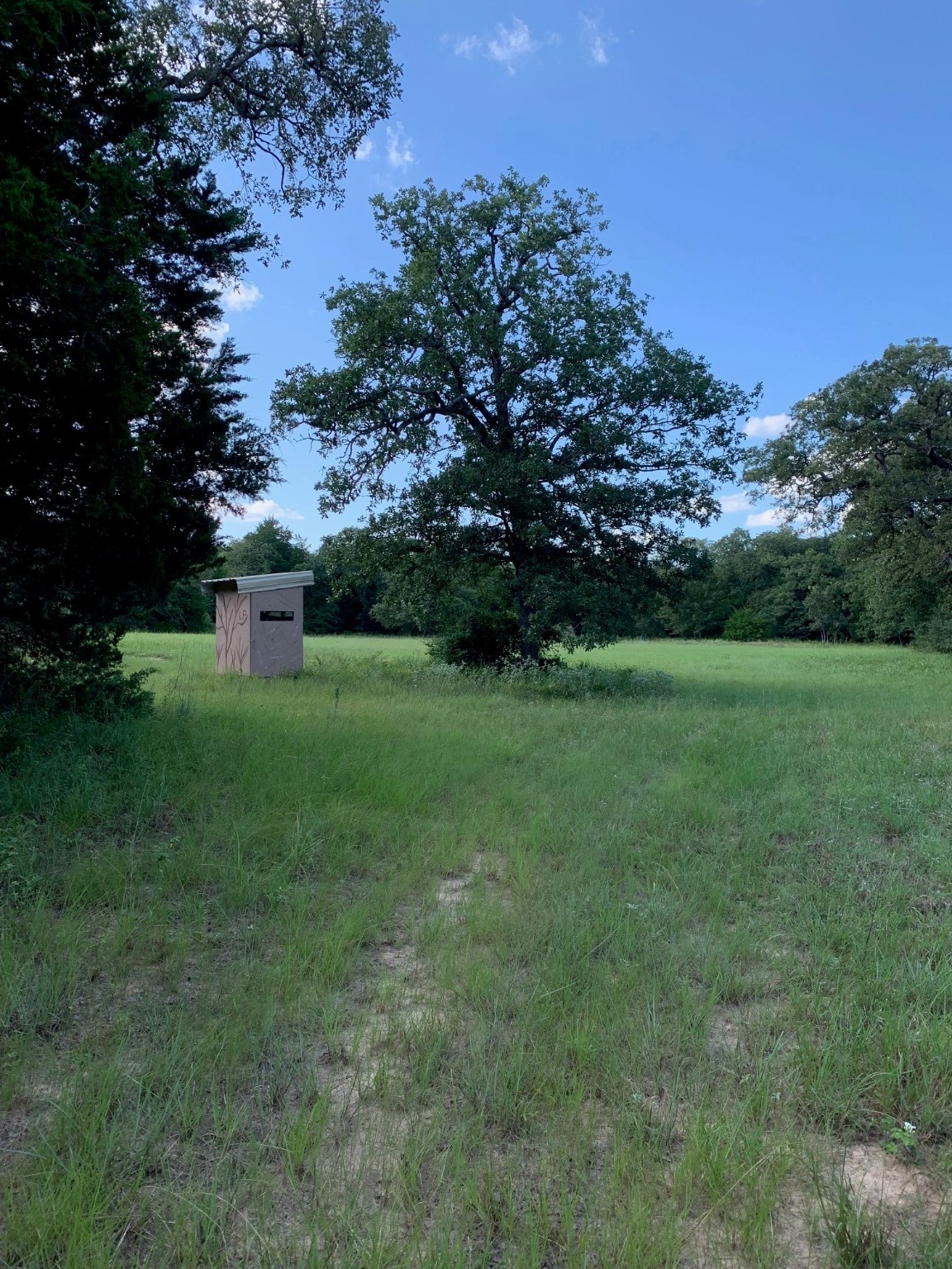 5632 County Road 317, Caldwell, Texas, 77836, United States, ,Land,For Sale,5632 County Road 317,1626286