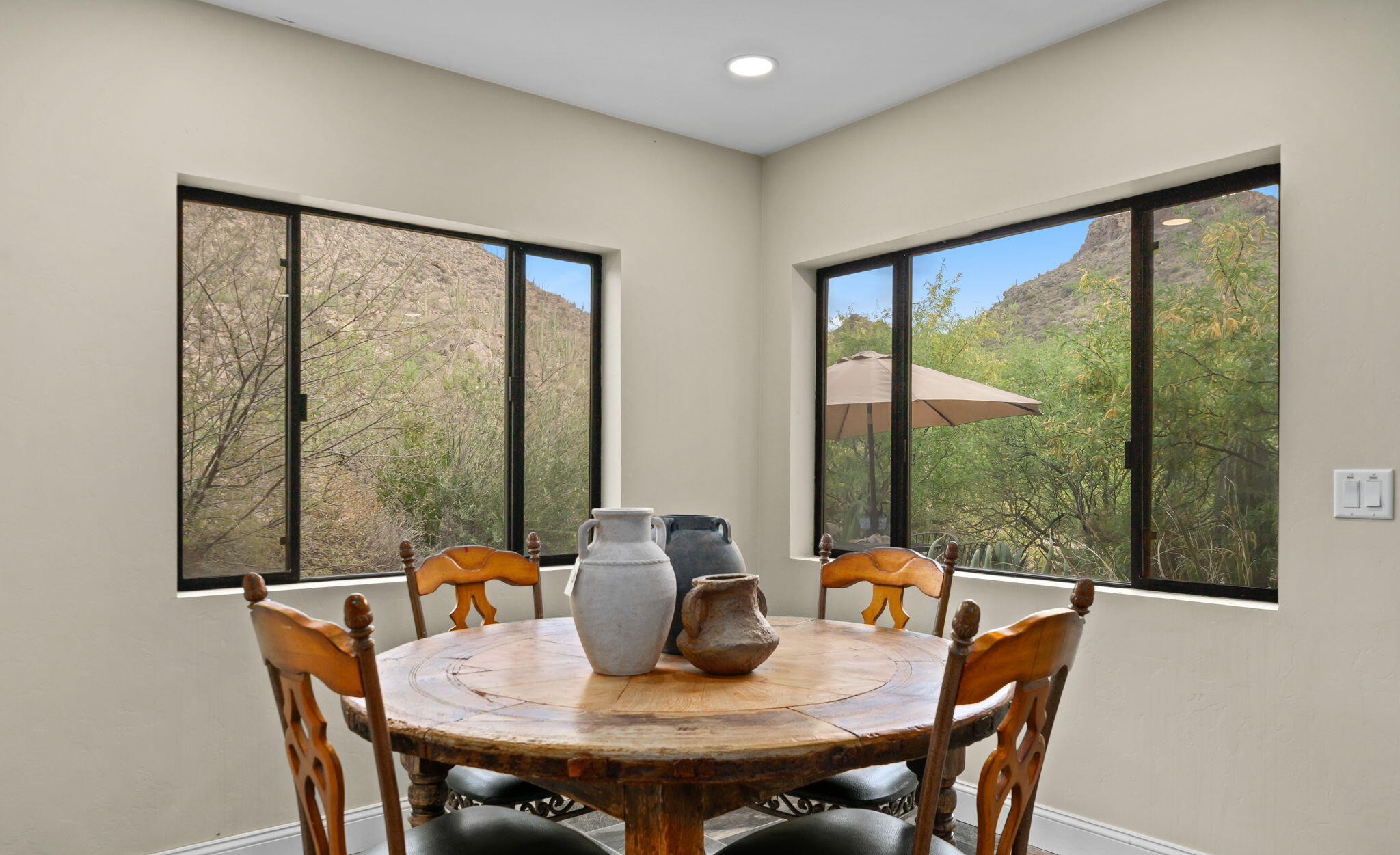  15251 N Dove Canyon Pass¦Marana, AZ - 物件實景