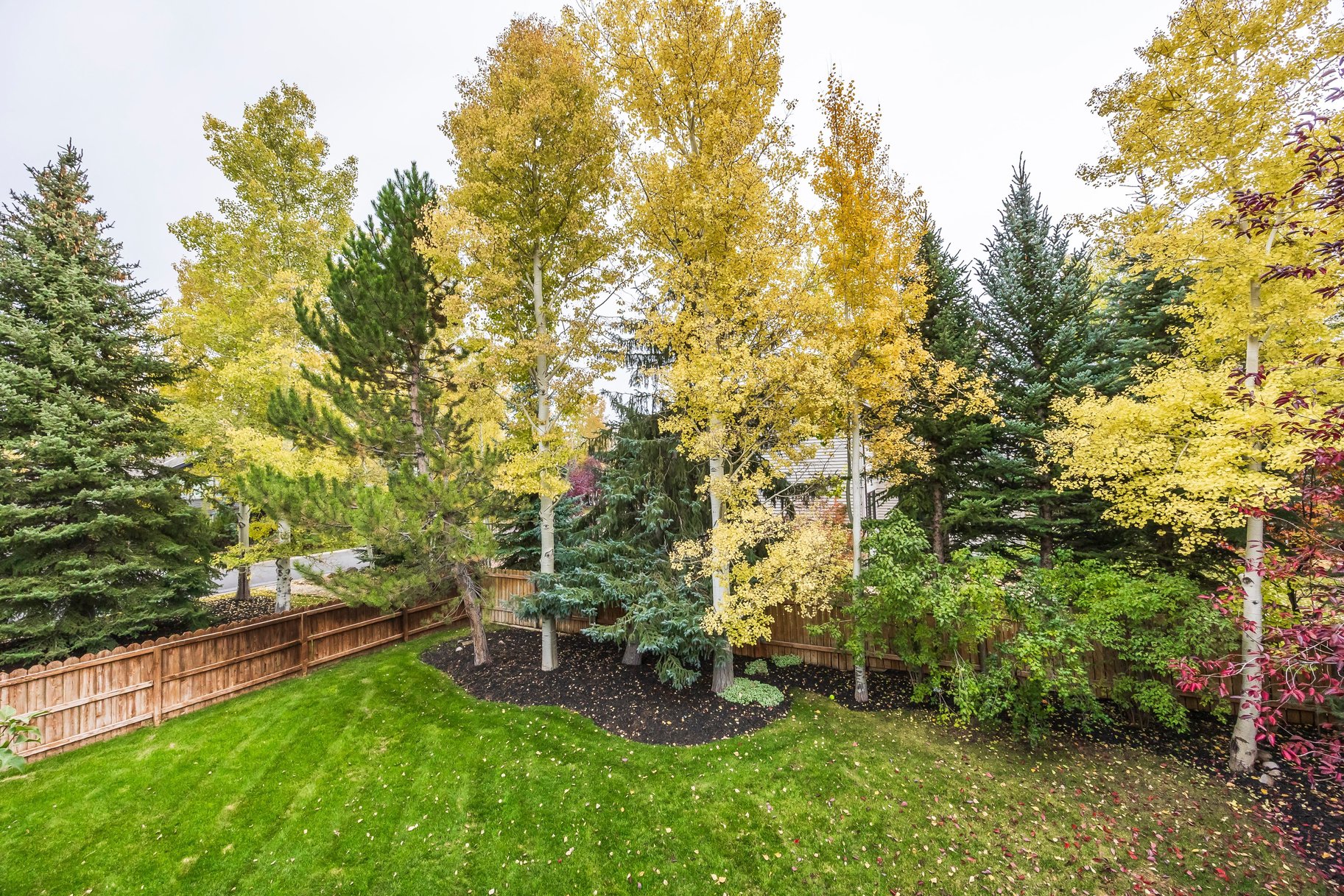  A Beautifully Reimagined Home in One of Park City’s Most Beloved Neighborhoods - 物件實景