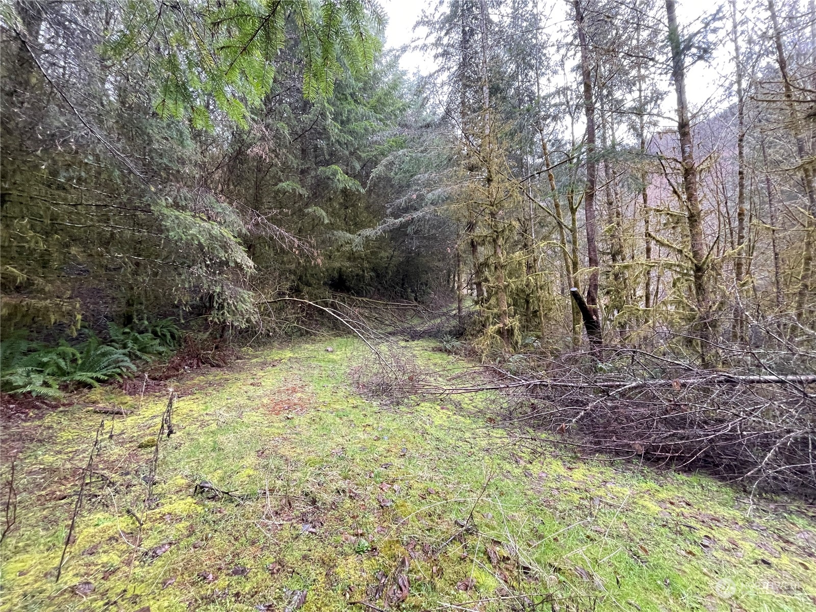 0 Fallert Road, Kalama, Washington, 98625, United States, ,Land,For Sale,0 Fallert Road,1273199