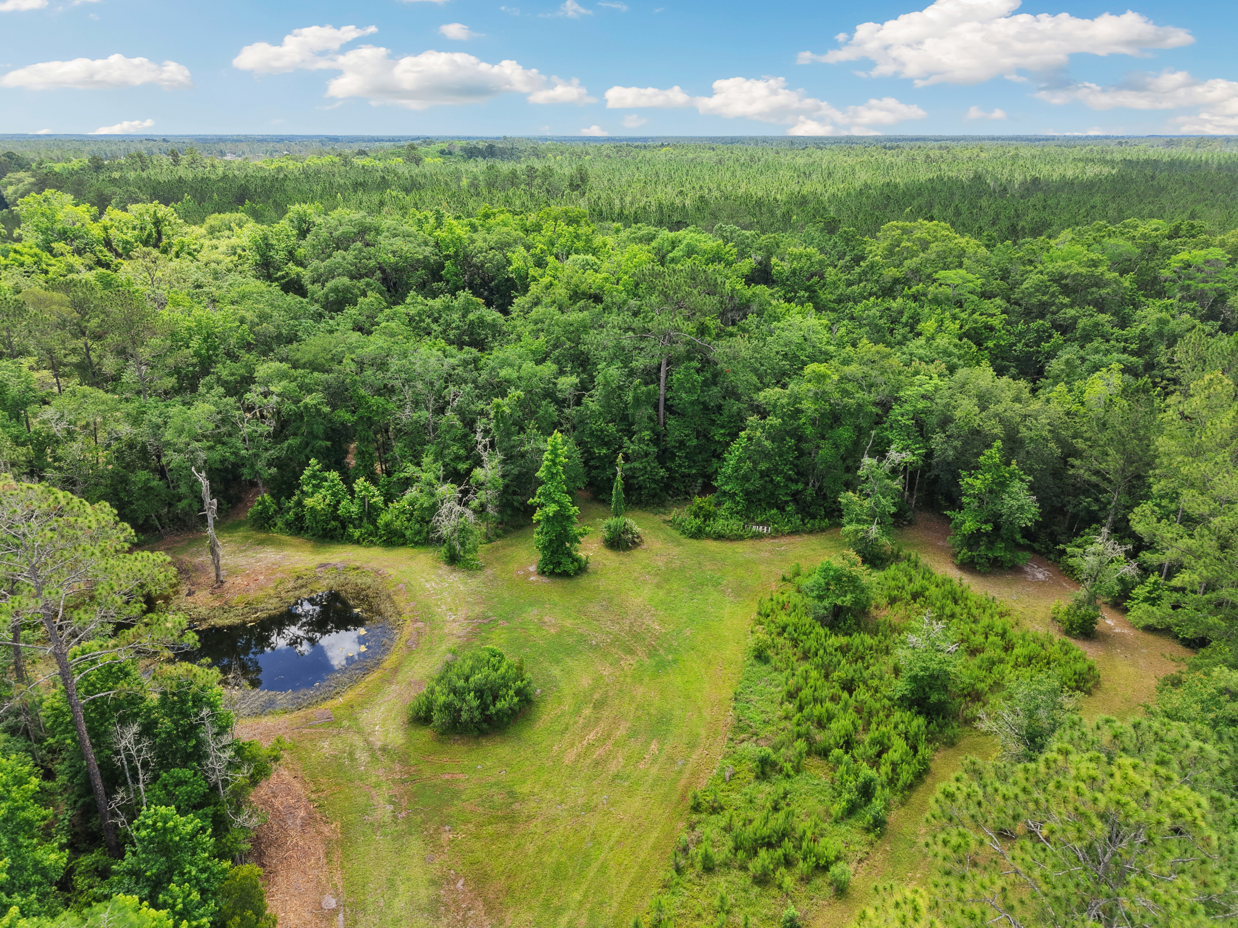  1805 Bennett Rd, St Augustine, FL, 32092 - 物件實景