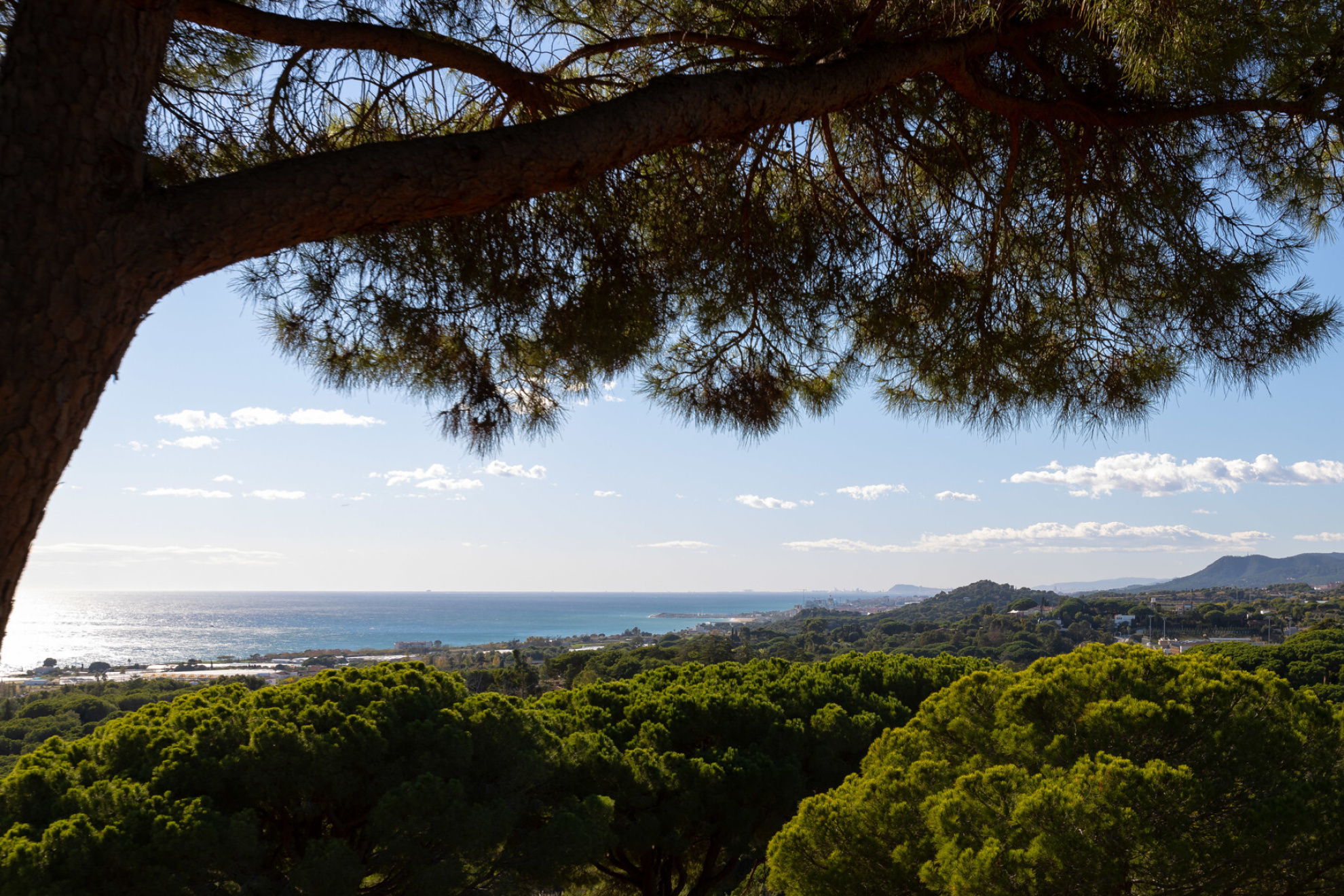  Exceptional finca with sea views in Sant Vicenç de Montalt - Costa BCN - 物件實景