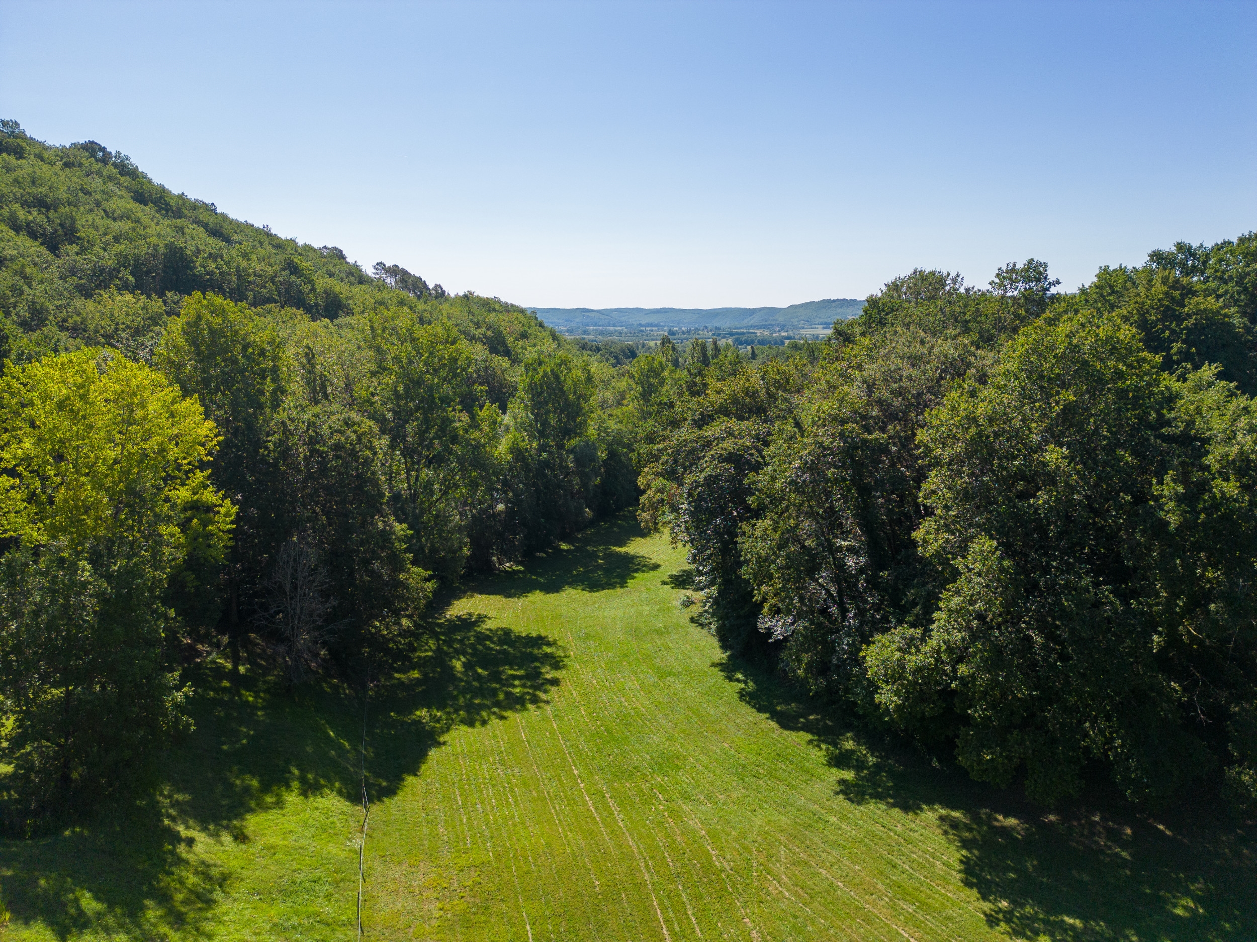  For Sale - A green oasis with a Gallo-Roman hut in the Dordogne - 物件實景
