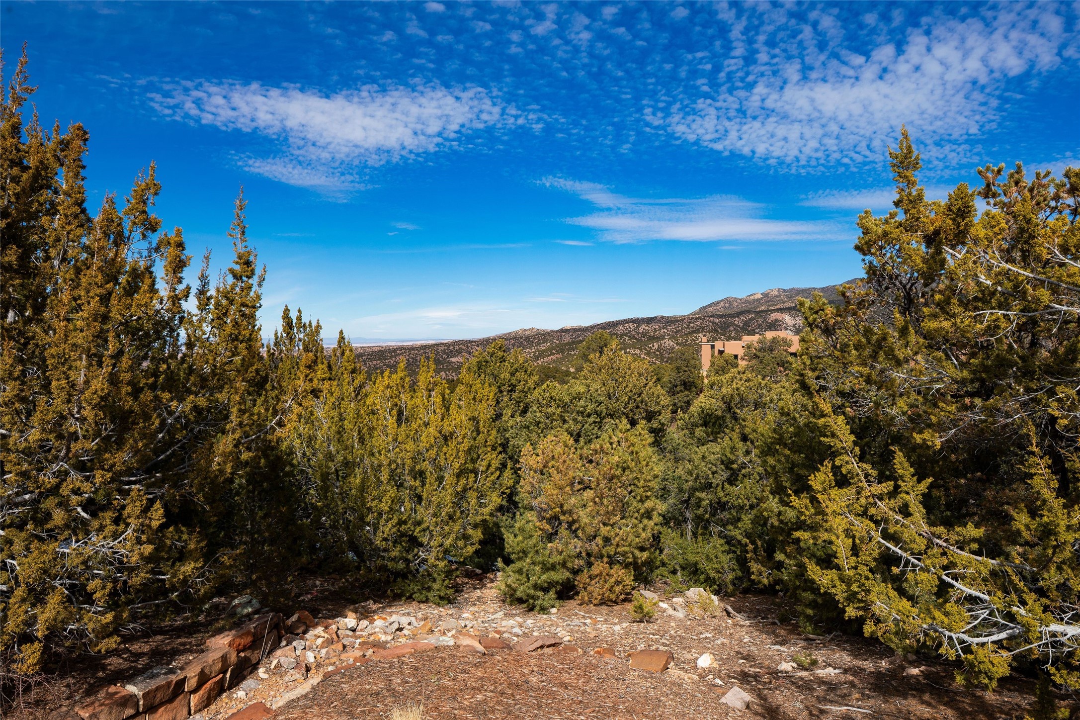 95 Lodge Trail - 物件實景