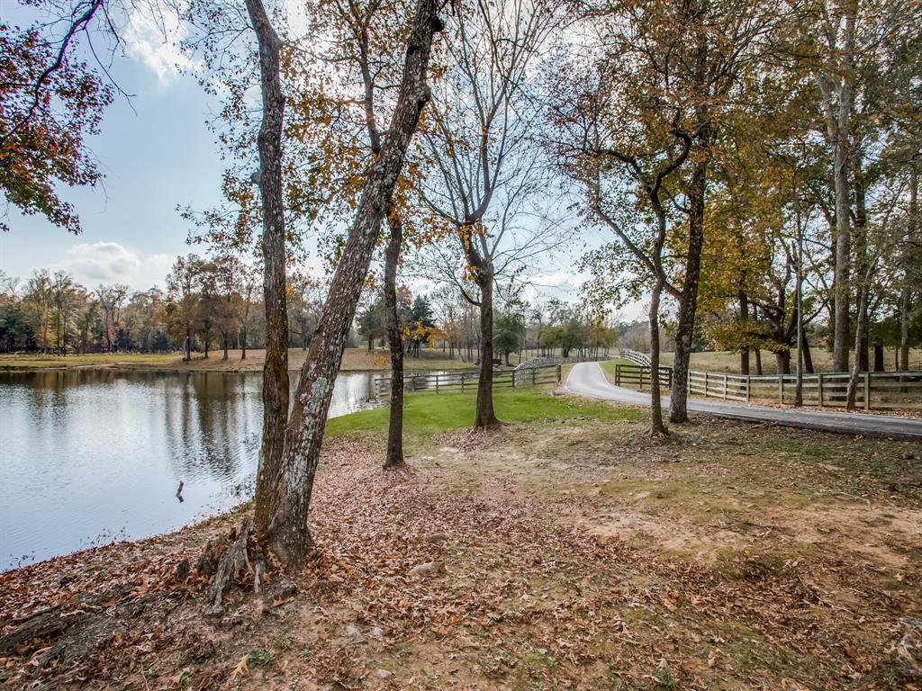1370 Vzcr 4907, Ben Wheeler, Texas, 75754, United States, 11 Bedrooms Bedrooms, ,14 BathroomsBathrooms,Land,For Sale,1370 Vzcr 4907,1663895
