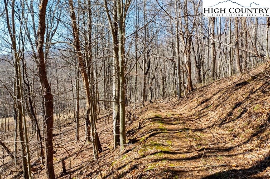 Warrensville, North Carolina, 28693, United States, ,Land,For Sale,1984173