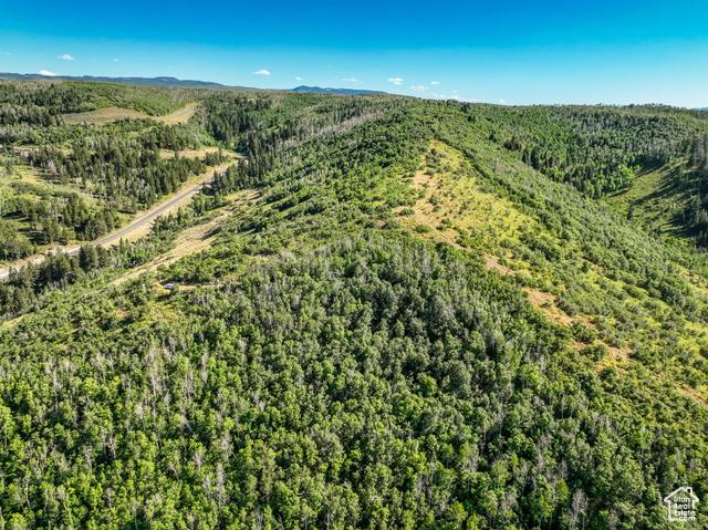 Kamas, Utah, 84036, United States, ,Residential,For Sale,1976580