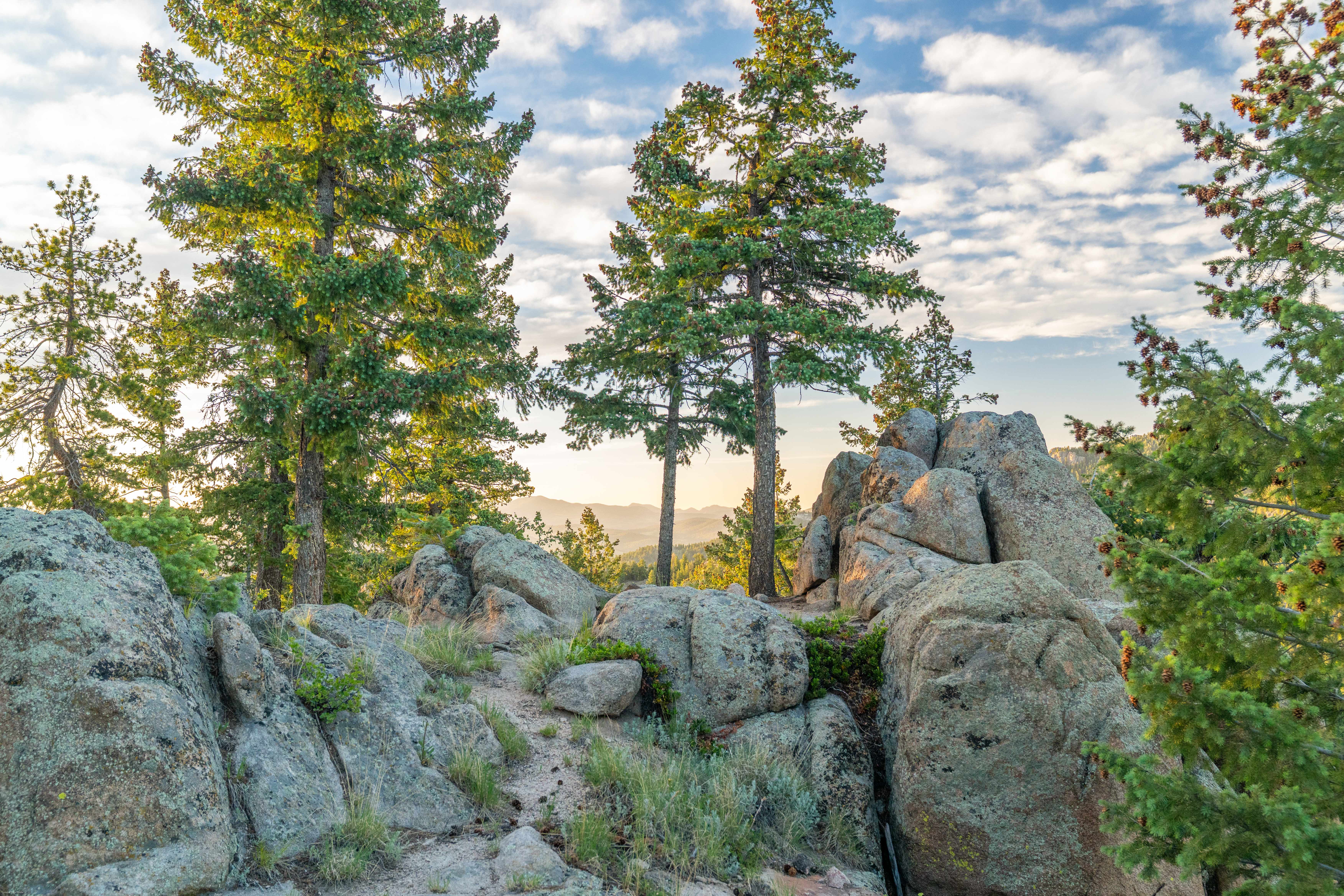  Acreage Available in Evergreen