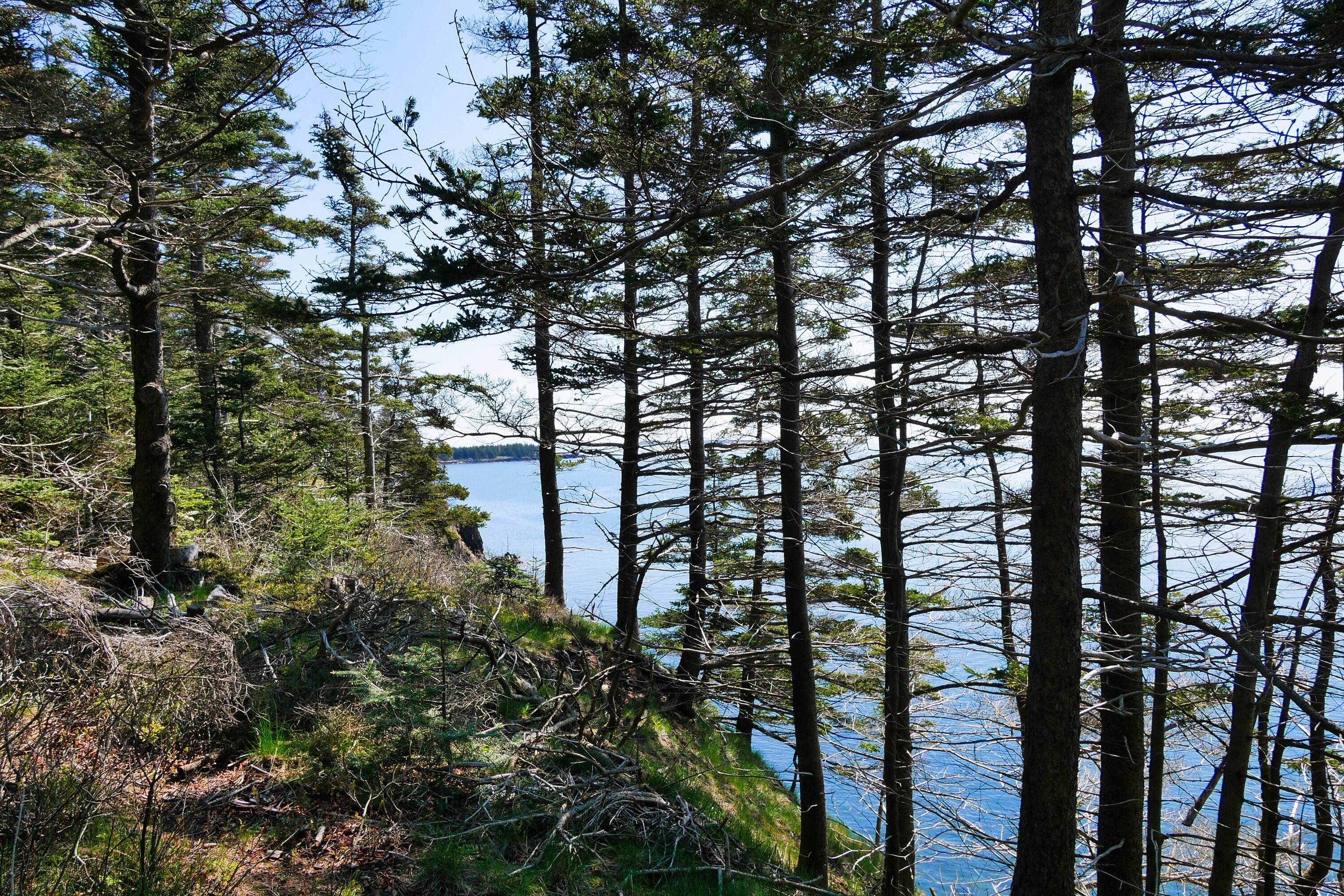  Feltzen South, South Shore - 物件實景