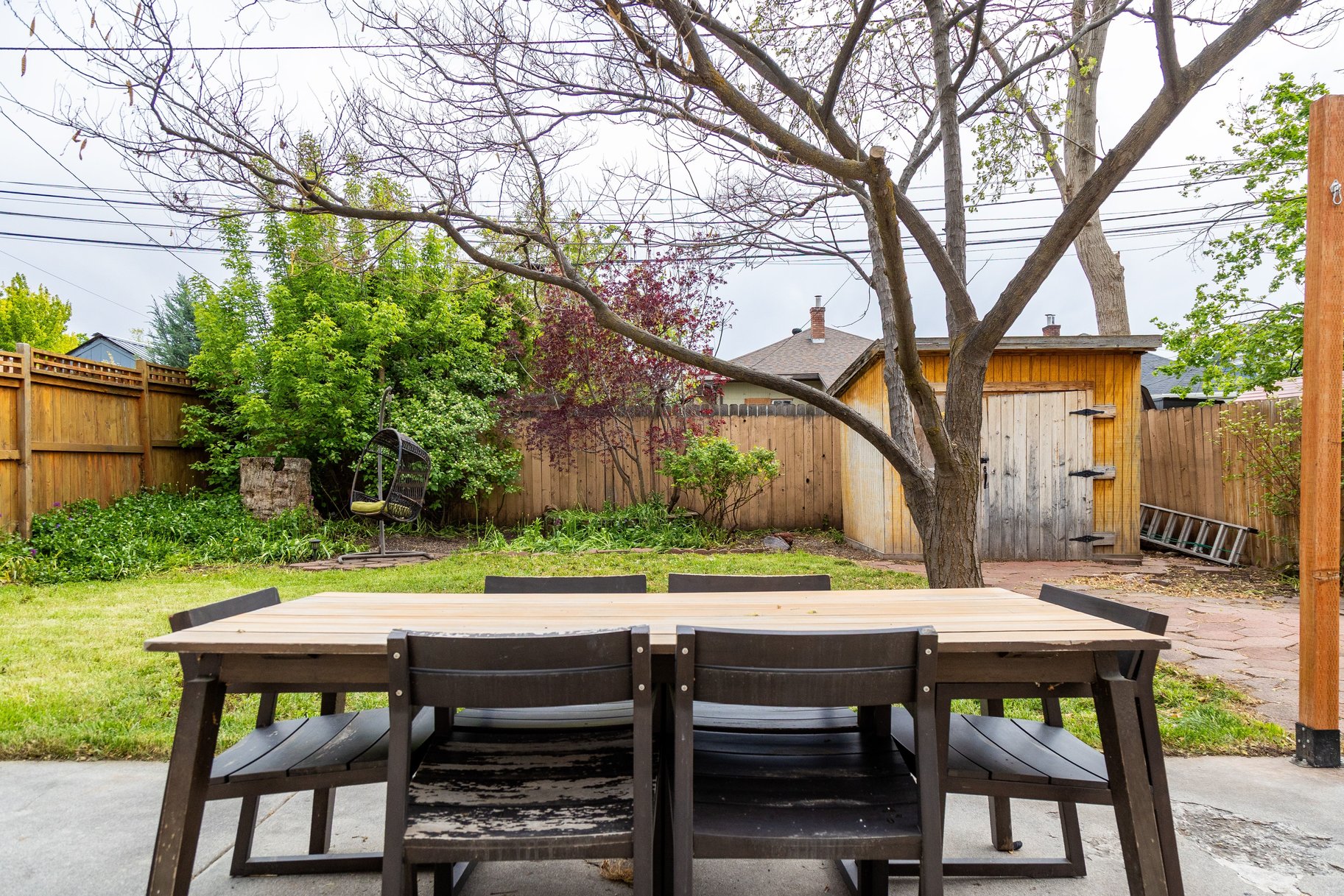  Incredibly Charming & Updated 1911 Bungalow Tree-Lined Streets - 物件實景