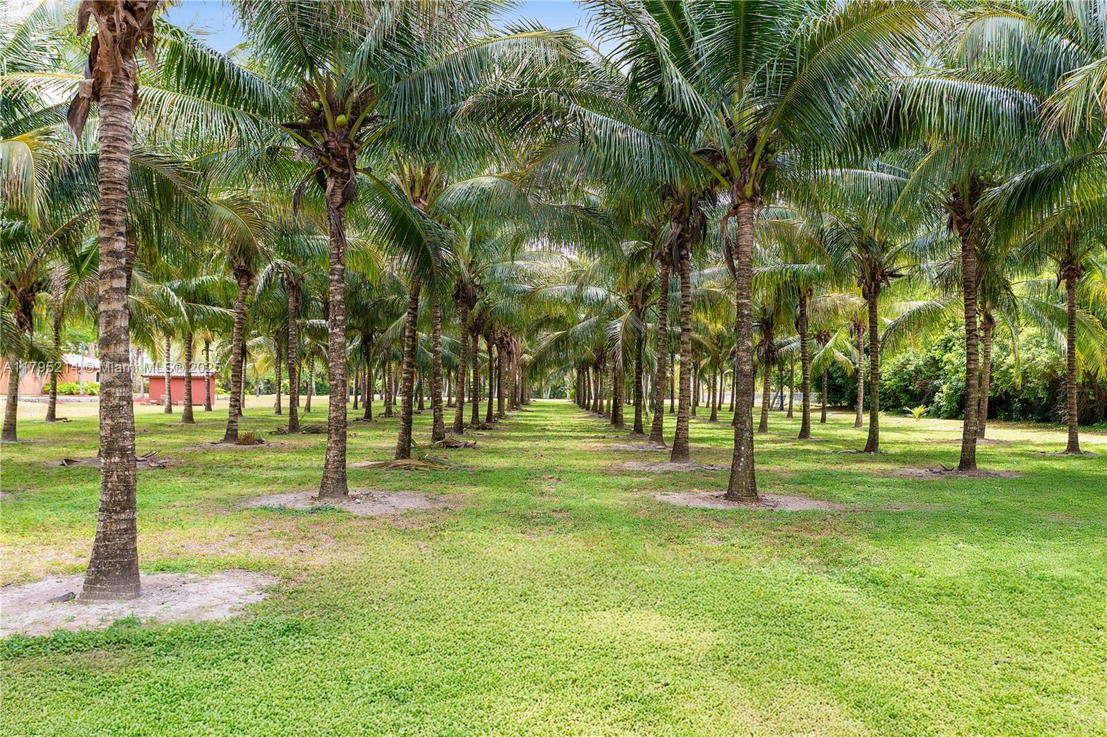Homestead, Florida, 33031, United States, 6 Bedrooms Bedrooms, ,7 BathroomsBathrooms,Residential,For Sale,1804180