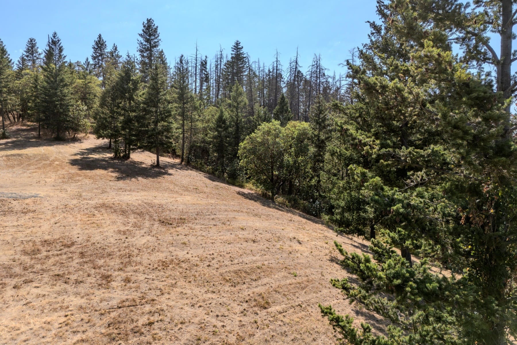  3587 S Stage Road #Lot 11 Medford, OR 97501 - 物件實景