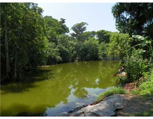 1515 US HIGHWAY 441, TAVARES, Florida, 32778, United States, ,Residential,For Sale,1515 US HIGHWAY 441,1008676