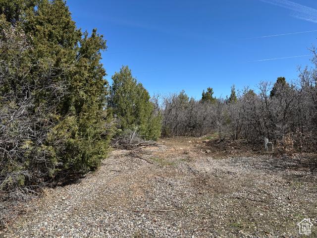 Mt Pleasant, Utah, 84647, United States, 4 Bedrooms Bedrooms, ,3 BathroomsBathrooms,Residential,For Sale,1921655