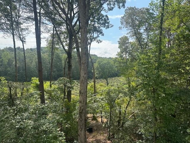 Ellijay, Georgia, 30536, United States, 3 Bedrooms Bedrooms, ,2 BathroomsBathrooms,Residential,For Sale,1944985