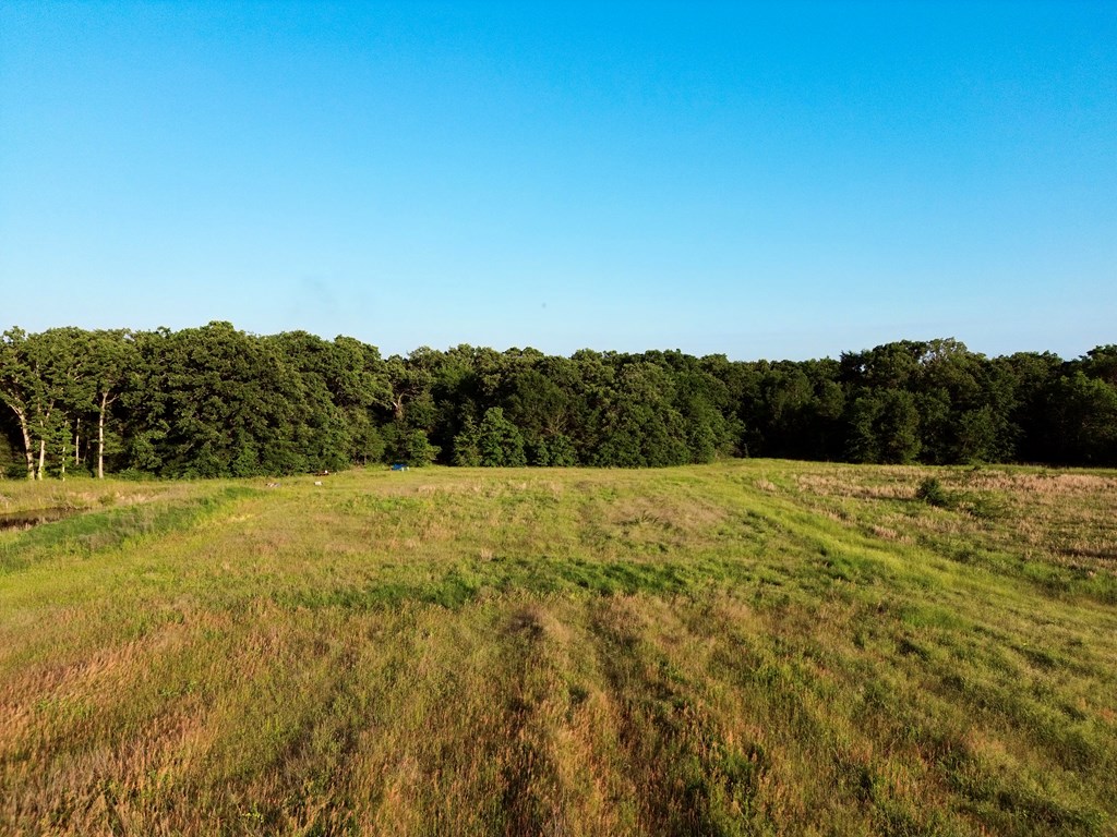 Mabank, Texas, 75147, United States, ,Land,For Sale,1807639