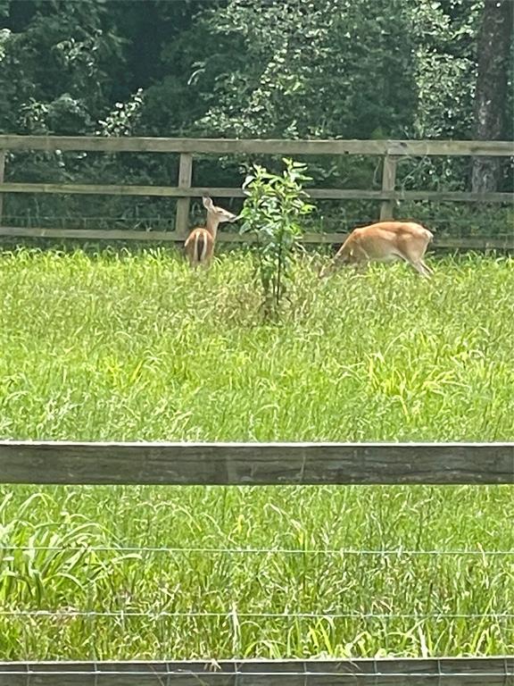 Streetman, Texas, 75859, United States, ,Land,For Sale,1751472