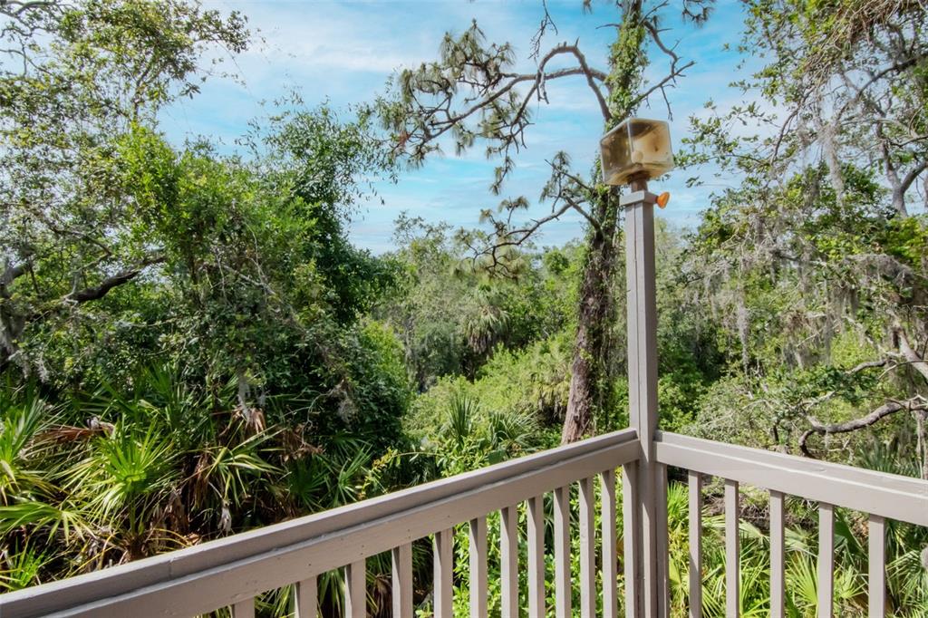 Dunedin, Florida, 34698, United States, 4 Bedrooms Bedrooms, ,5 BathroomsBathrooms,Residential,For Sale,1987490