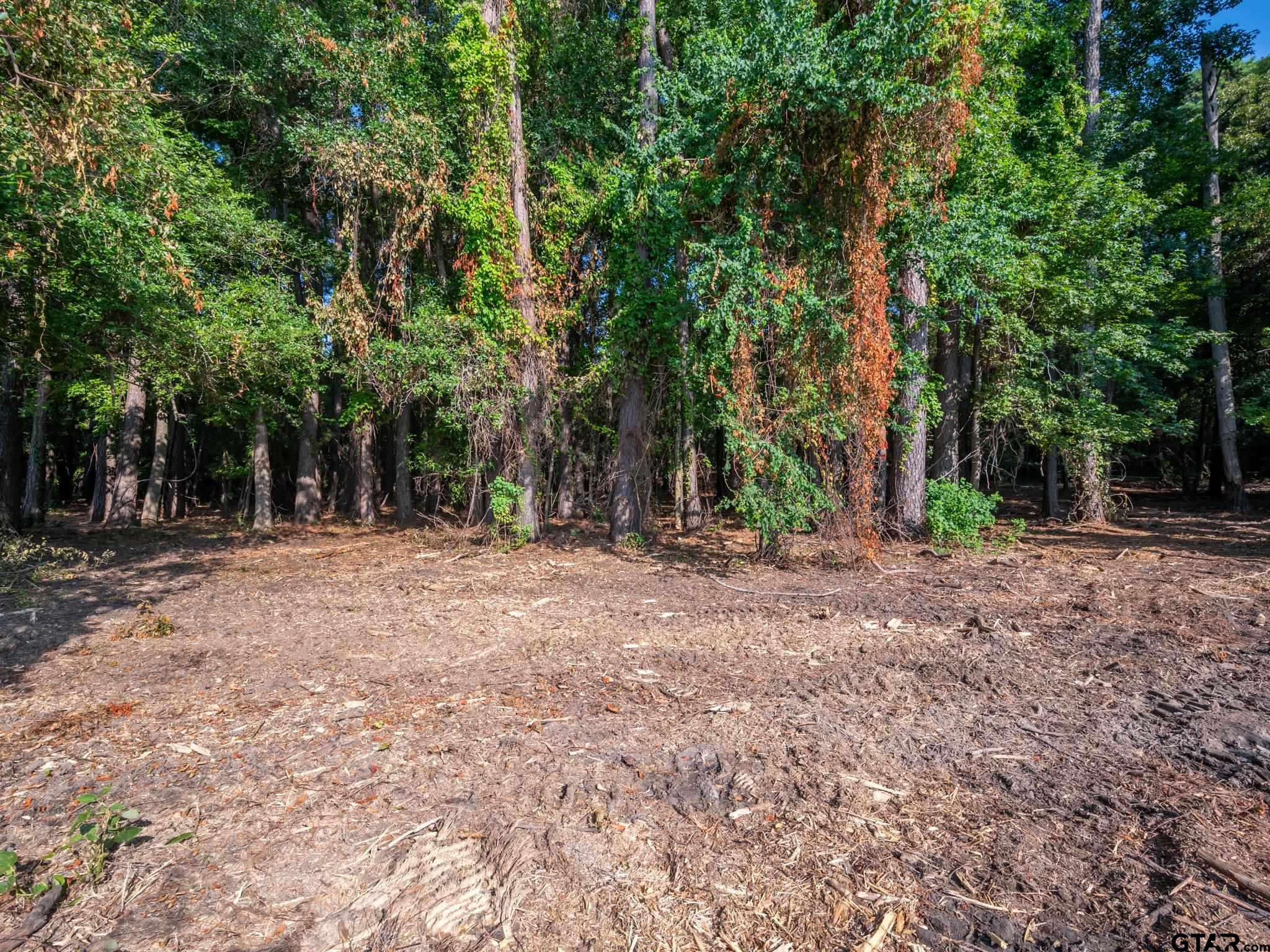 Chandler, Texas, 75758, United States, ,Land,For Sale,1826674