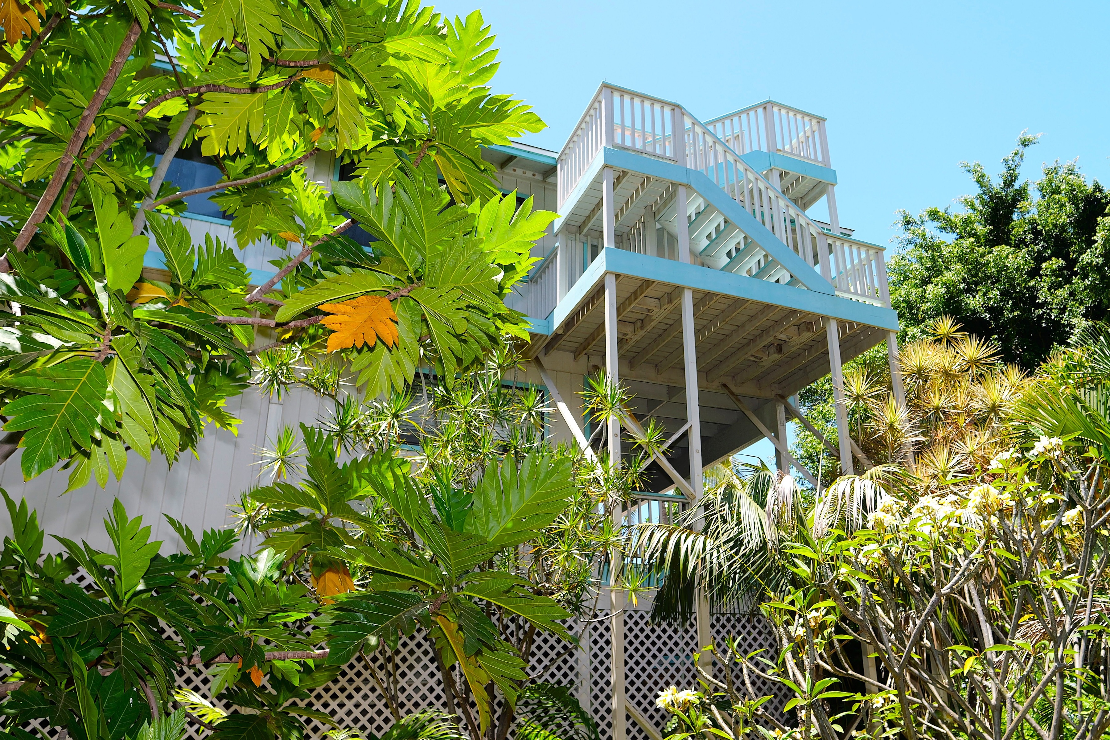  3 Bed/2Bath with 1/1 attached ohana - 物件實景