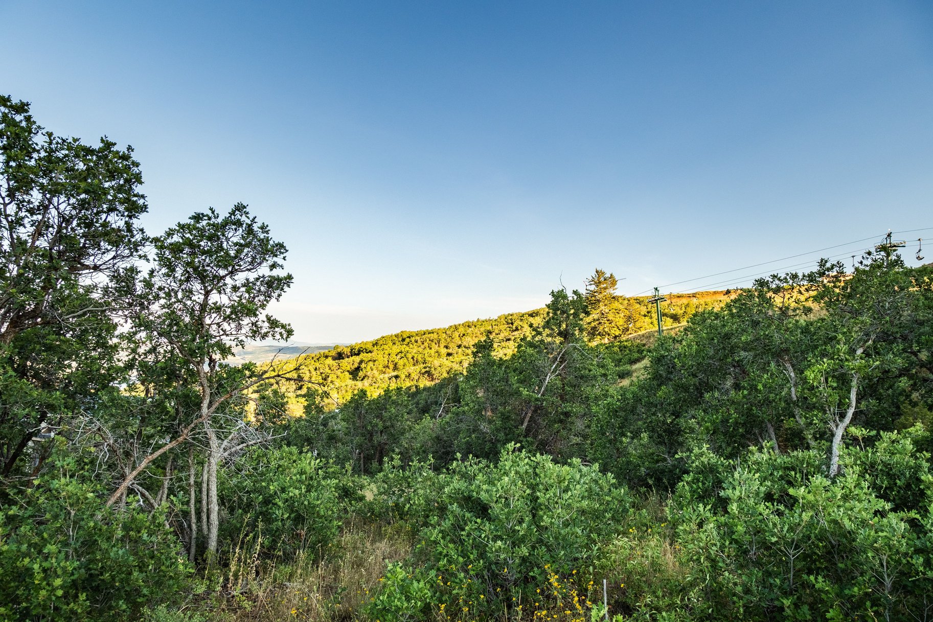 Estate Lot with Prime Ski-in, Ski-out Access - 物件實景