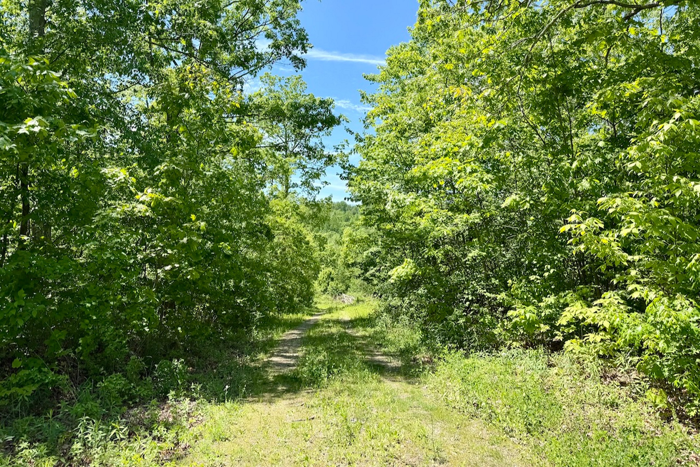  Swaller Hill Road - 物件實景