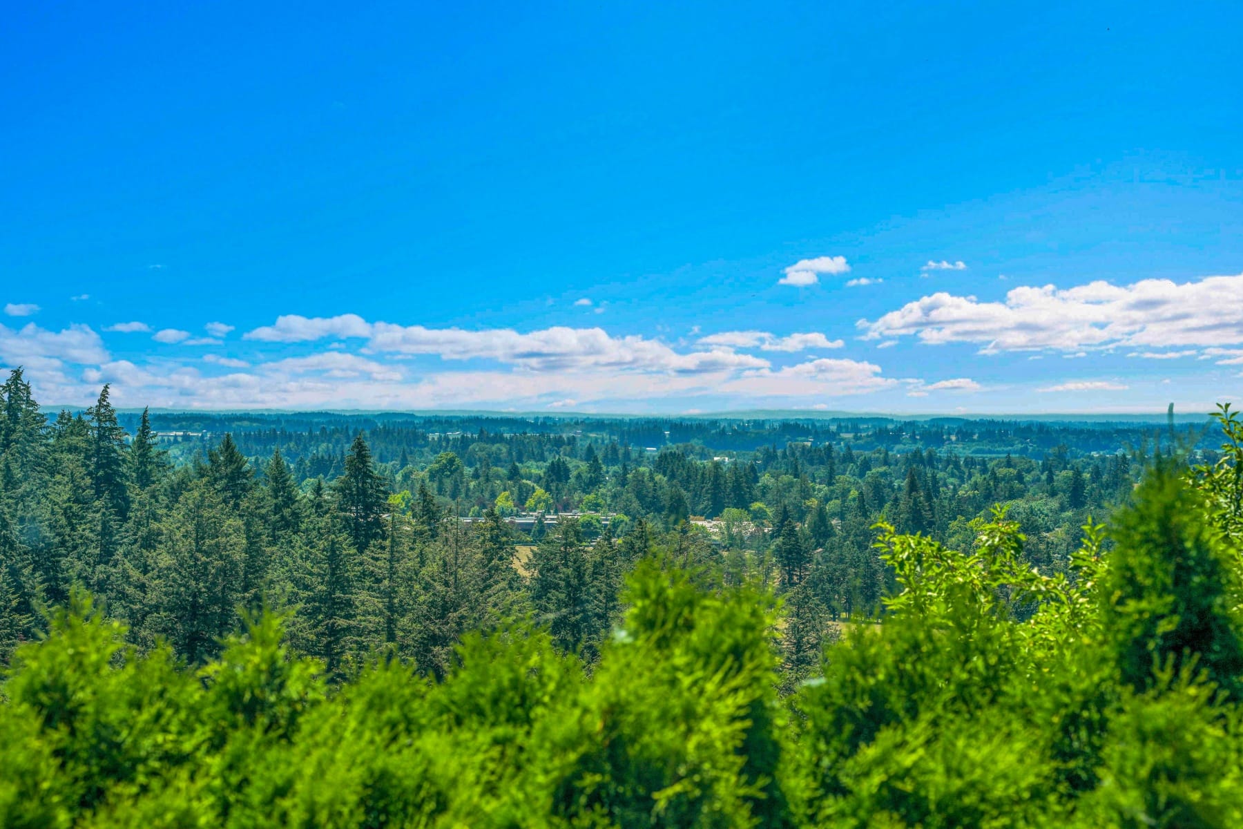  27100 NE BELL RD Newberg, OR 97132 - 物件實景