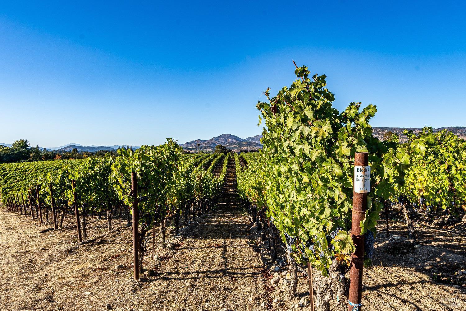 Napa, California, 94558, United States, 4 Bedrooms Bedrooms, ,6 BathroomsBathrooms,Residential,For Sale,1847246