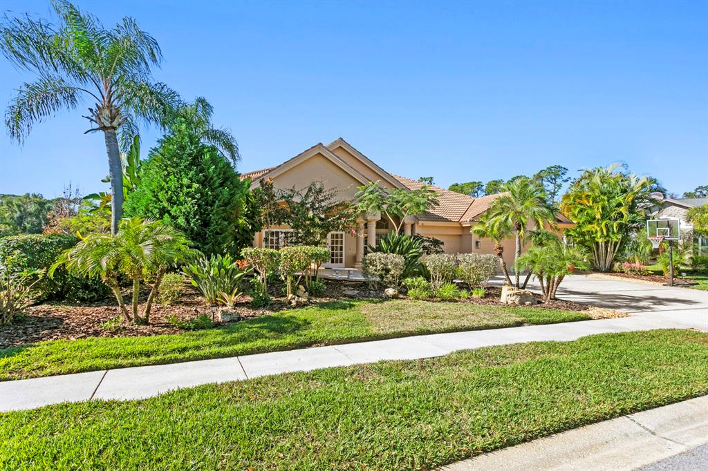 Palm Harbor, Florida, 34685, United States, 5 Bedrooms Bedrooms, ,3 BathroomsBathrooms,Residential,For Sale,1980660